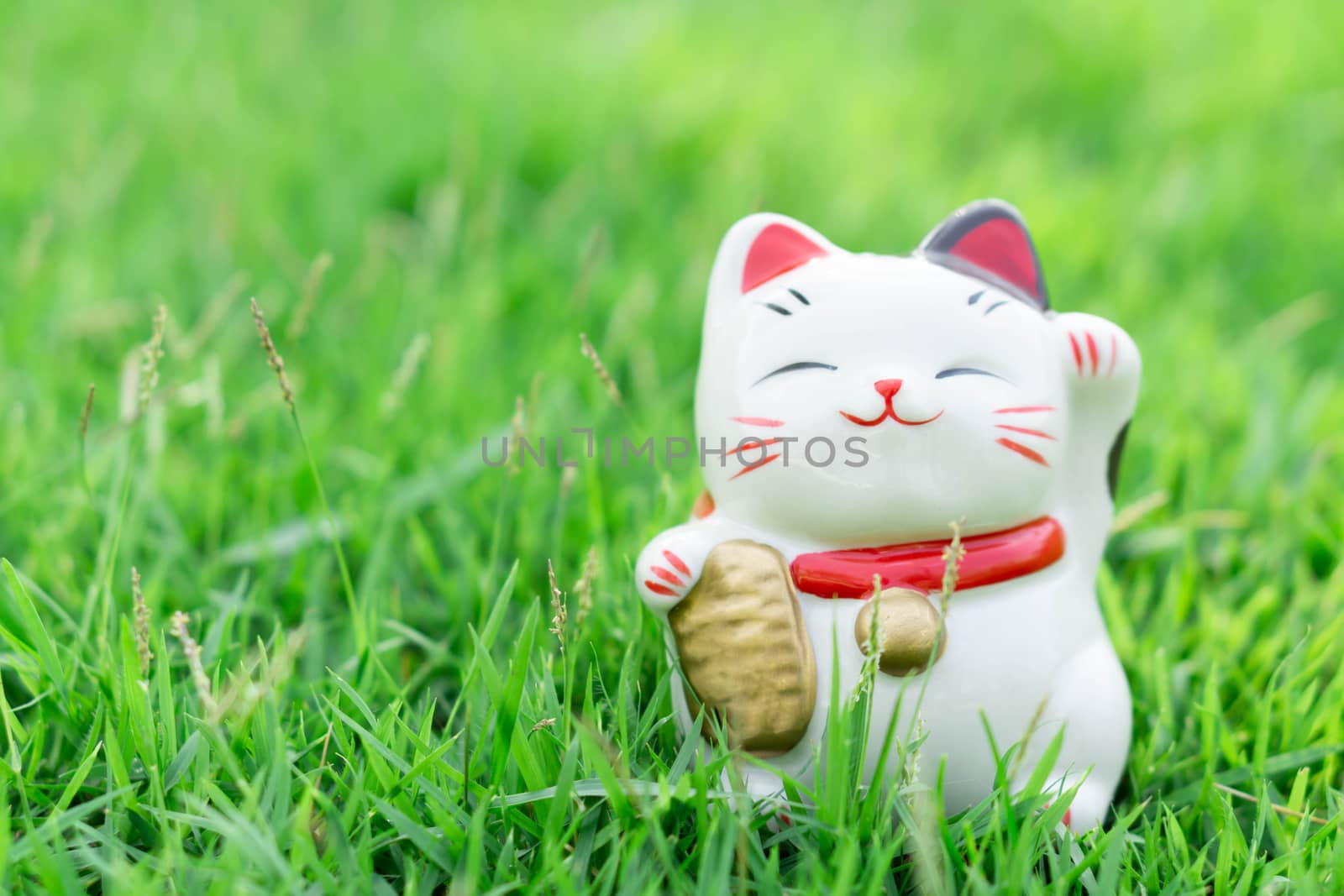 Maneki neko on green grass with sun light in the morning, select focus