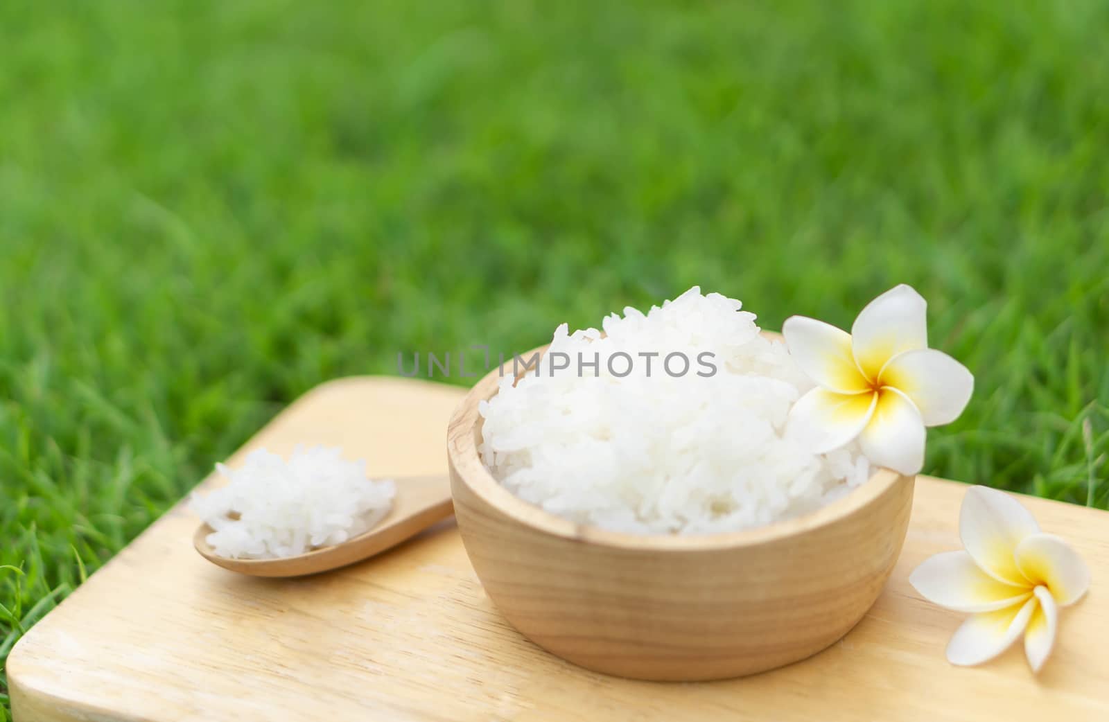 Close up white rice in wooden bowl with green nature background, by pt.pongsak@gmail.com