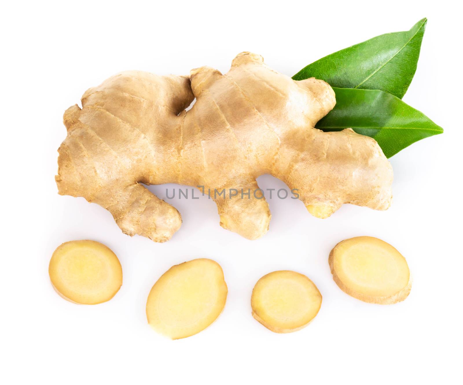 Fresh ginger root with sliced islolated on white background for herb and medical product concept