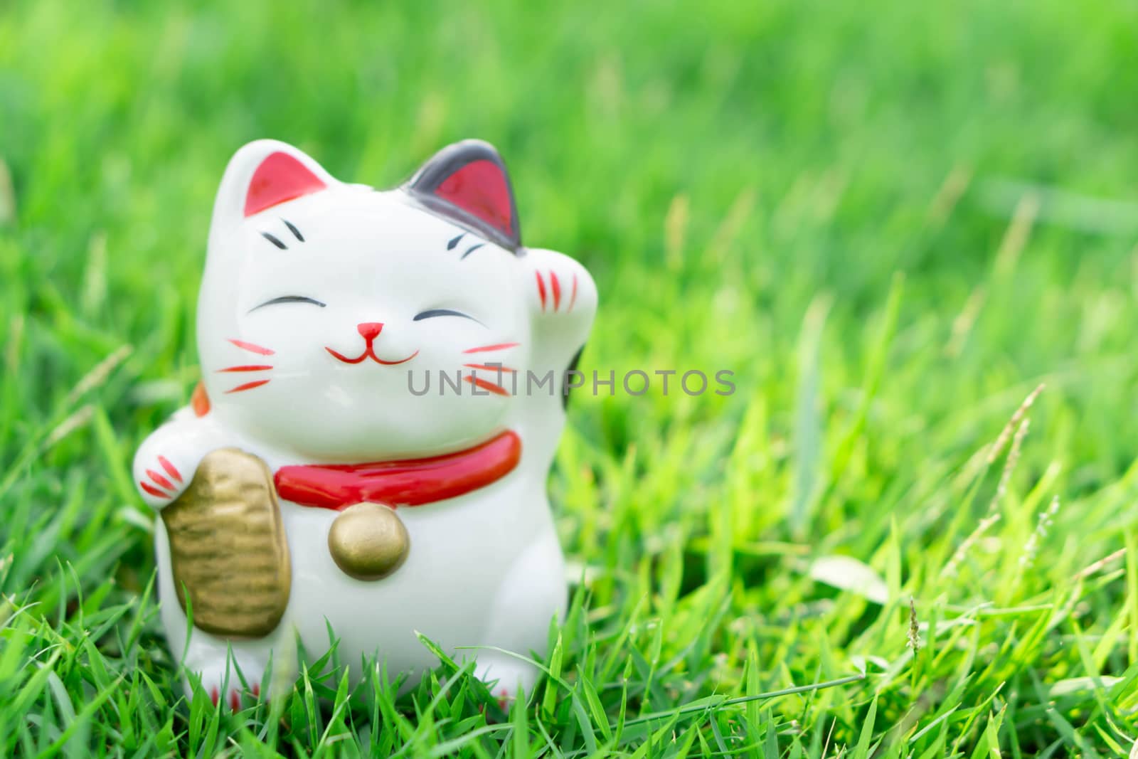 Maneki neko on green grass with sun light in the morning, select focus