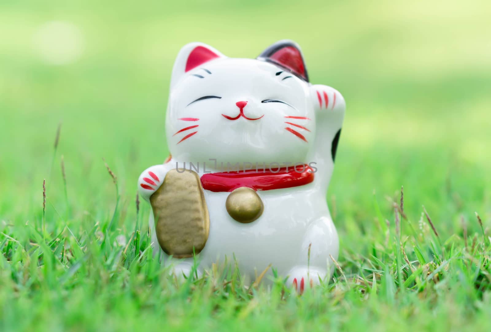 Maneki neko on green grass with sun light in the morning, select focus