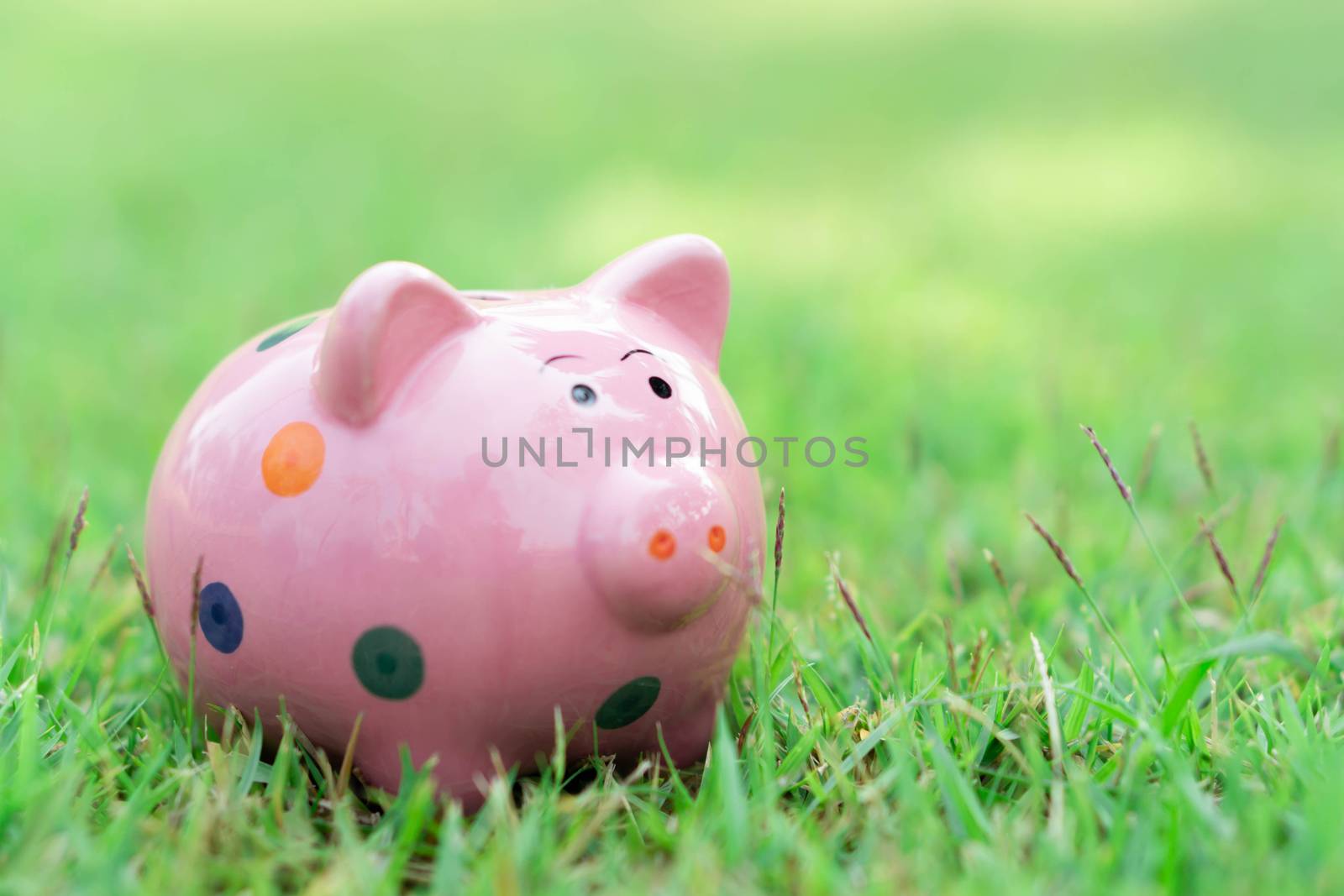 Piggy bank on green grass with sun light in the morning, select focus