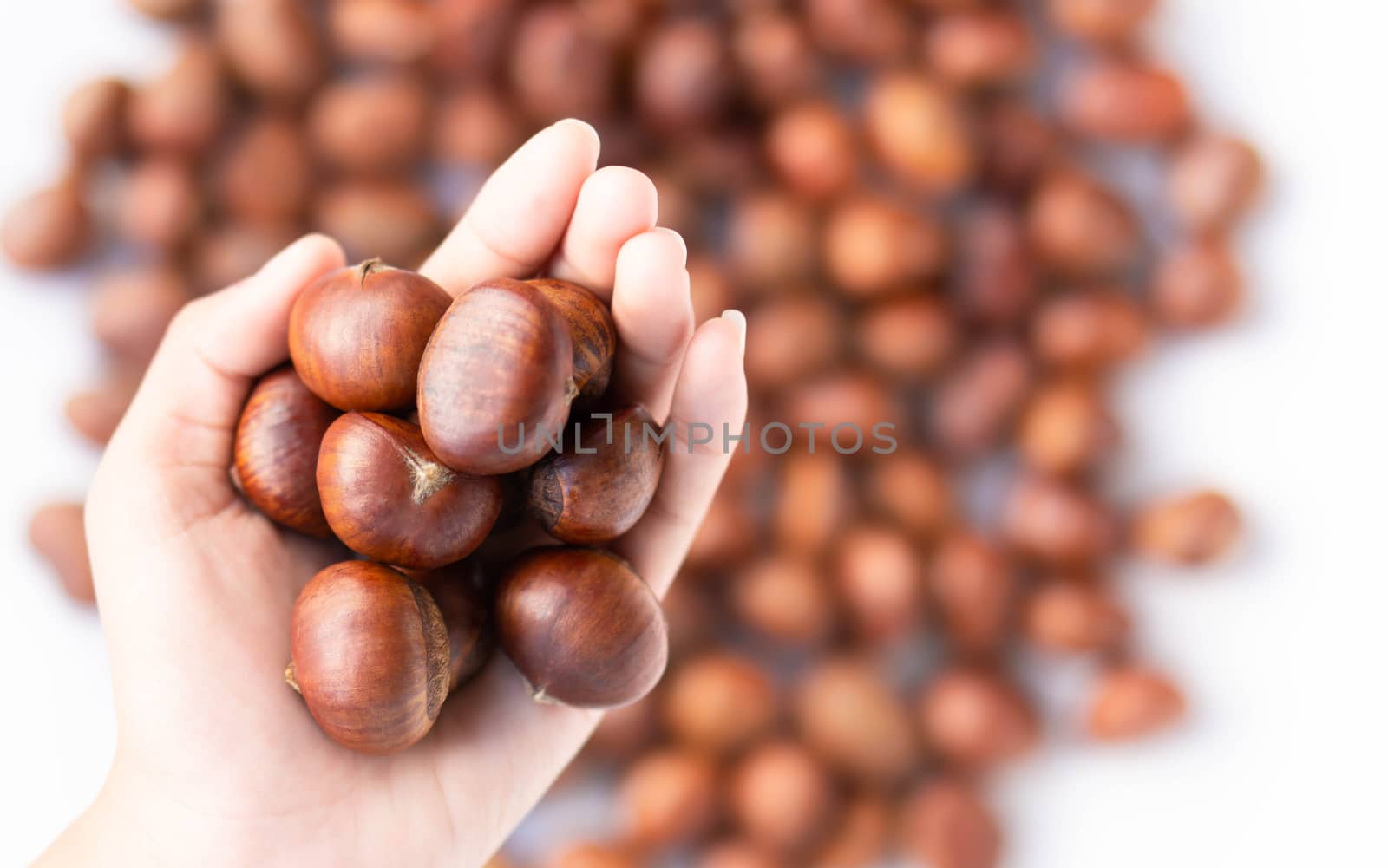 Closeup top view hand holding horse chestnuts on white backgroun by pt.pongsak@gmail.com