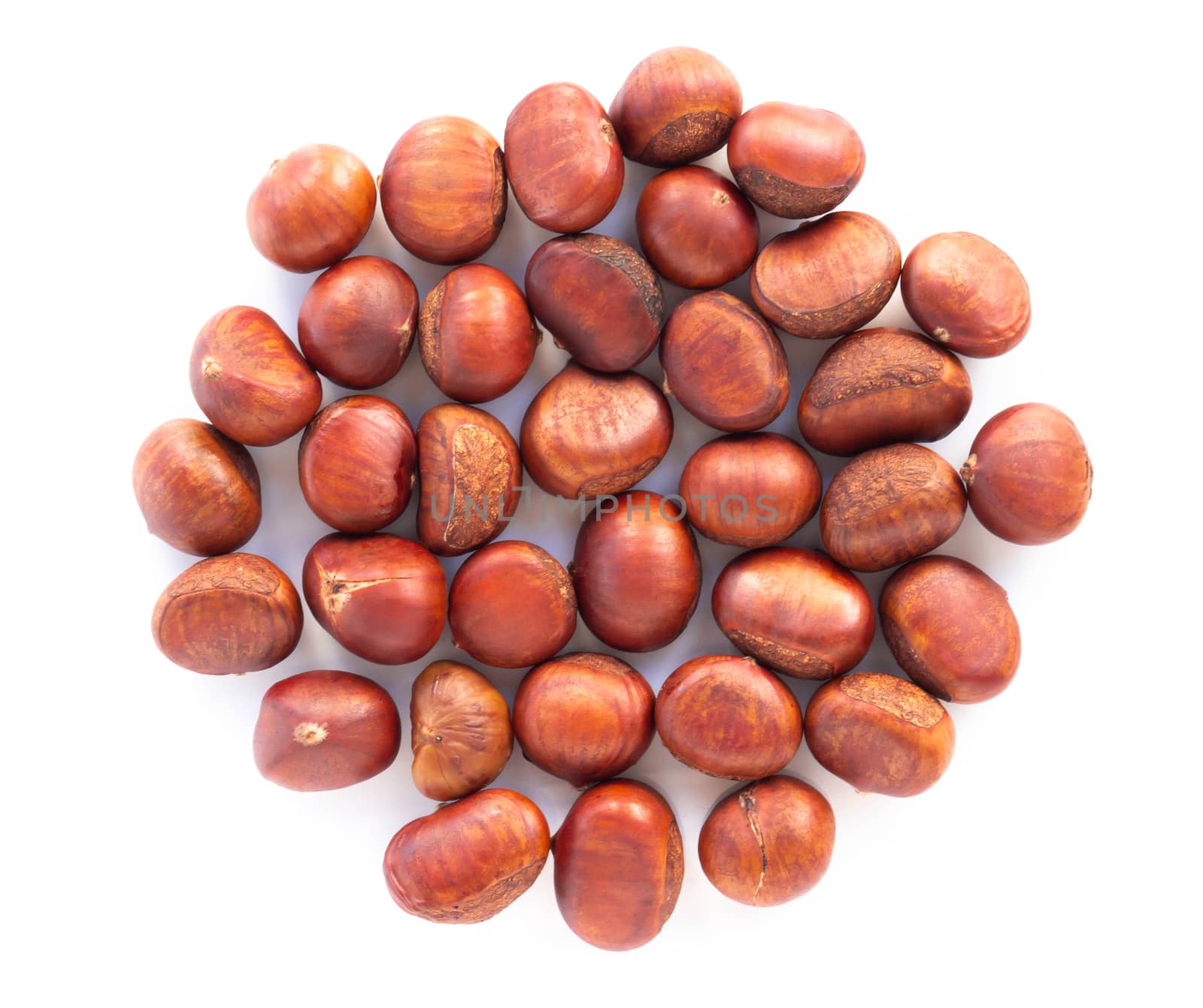 Closeup top view horse chestnuts isolated on white background,   by pt.pongsak@gmail.com