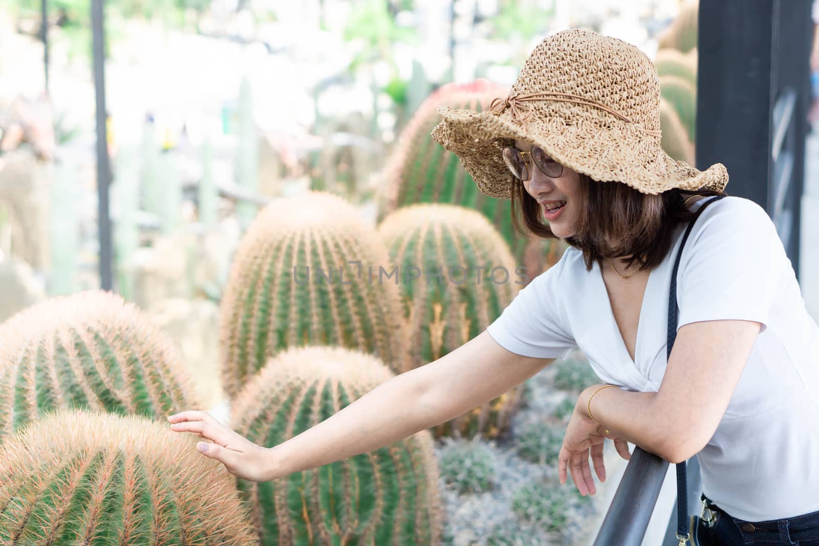 Woman tourist looking for amazing big cactus in the garden, Holiday and relax time concept 