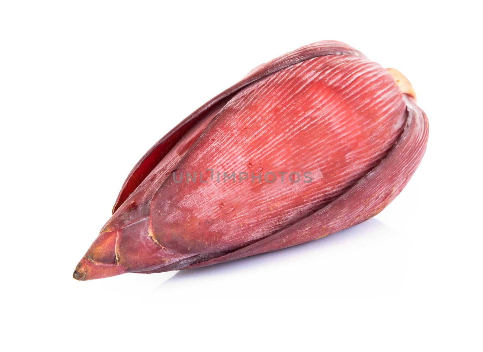 Fresh banana blossom isolated on white background, Healthy concept