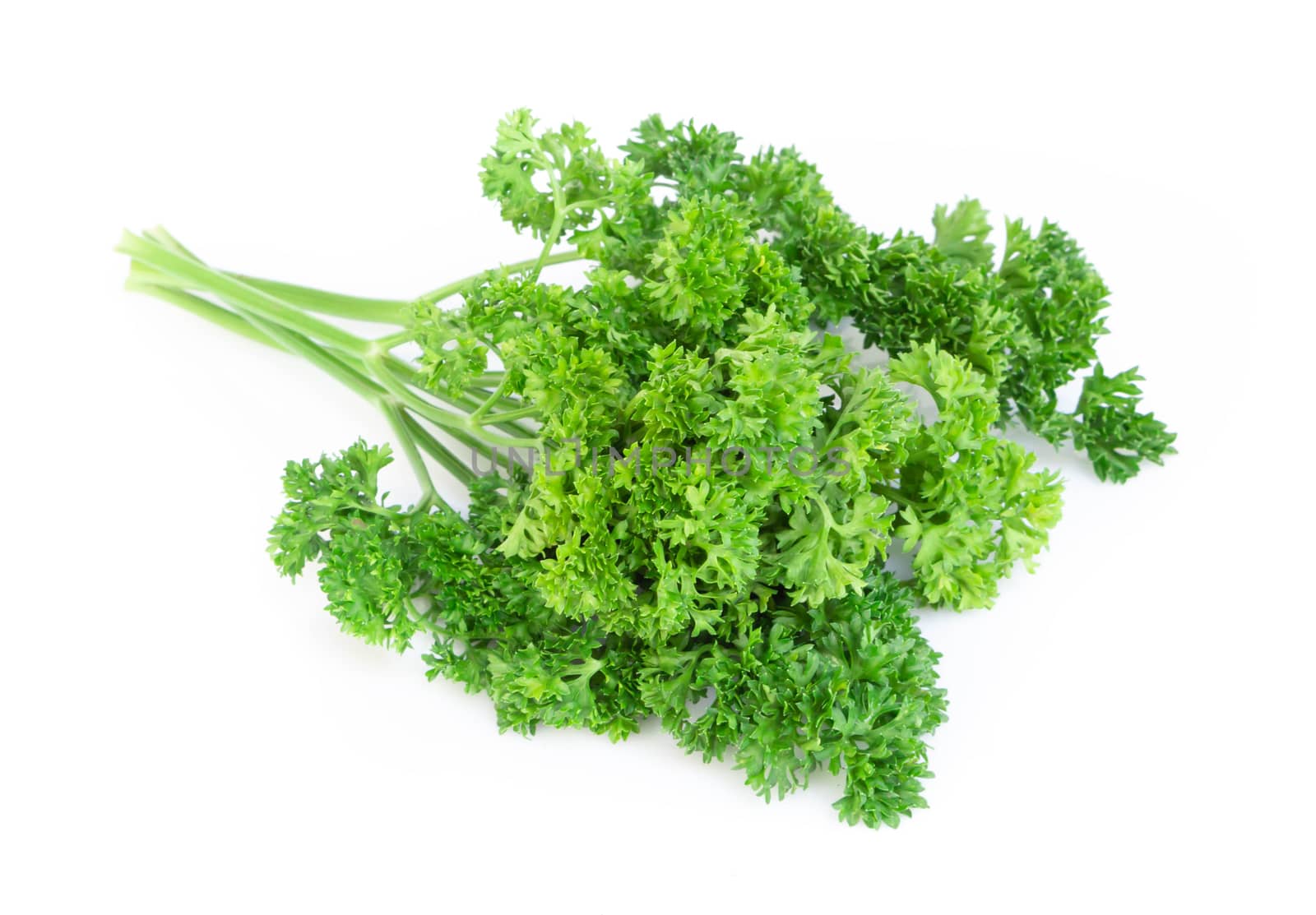 Parsley vegetable isolated on white background