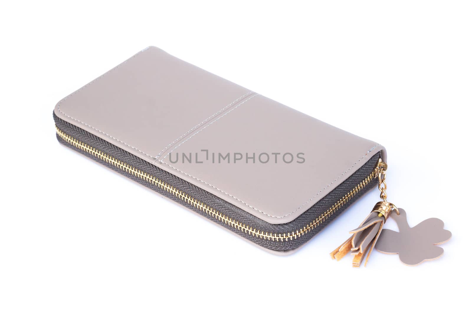 Closeup modern grey woman wallet fashion on white background