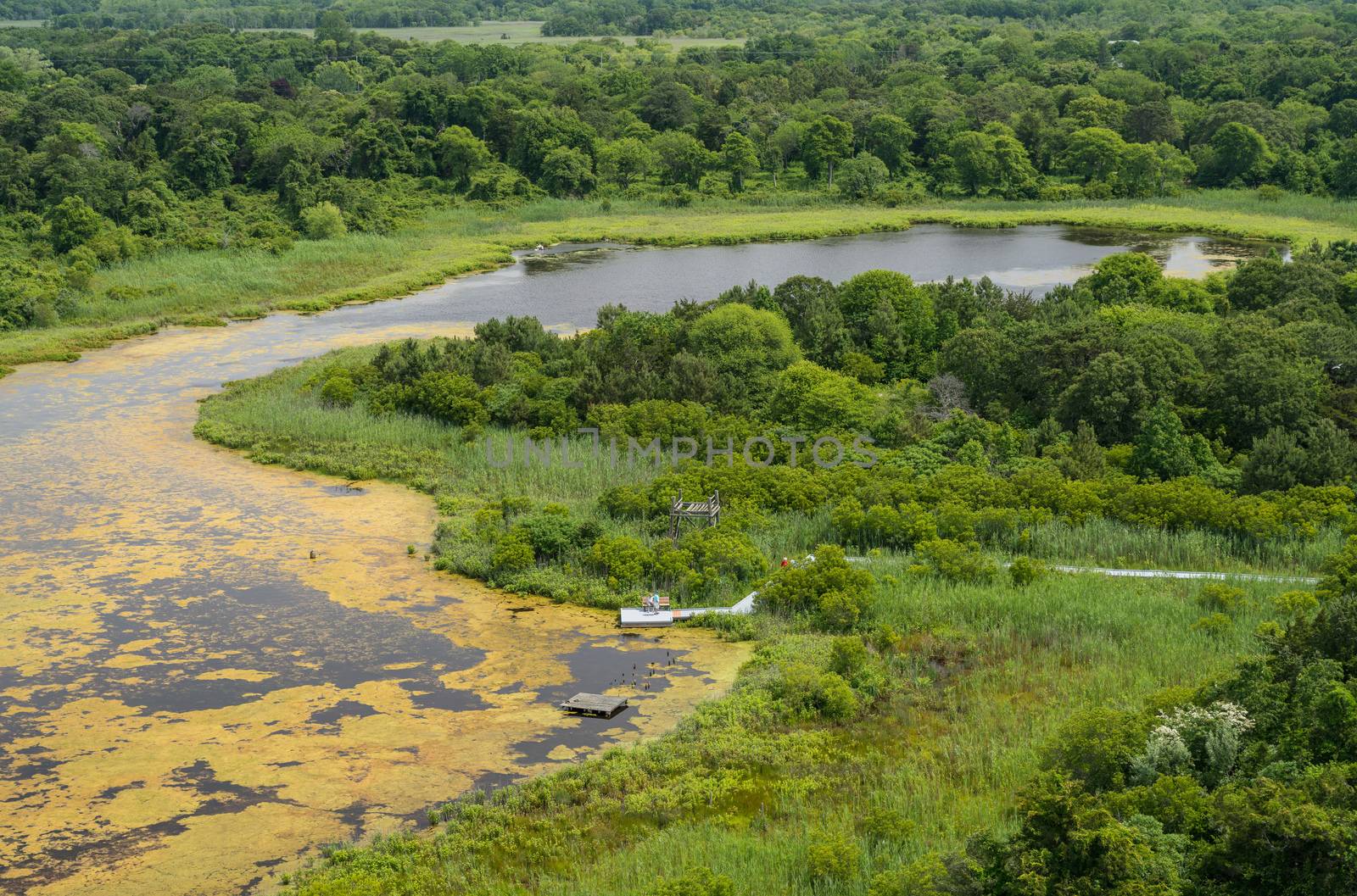 Lake and bird watching sanctuary at Cape May Point in New Jersey