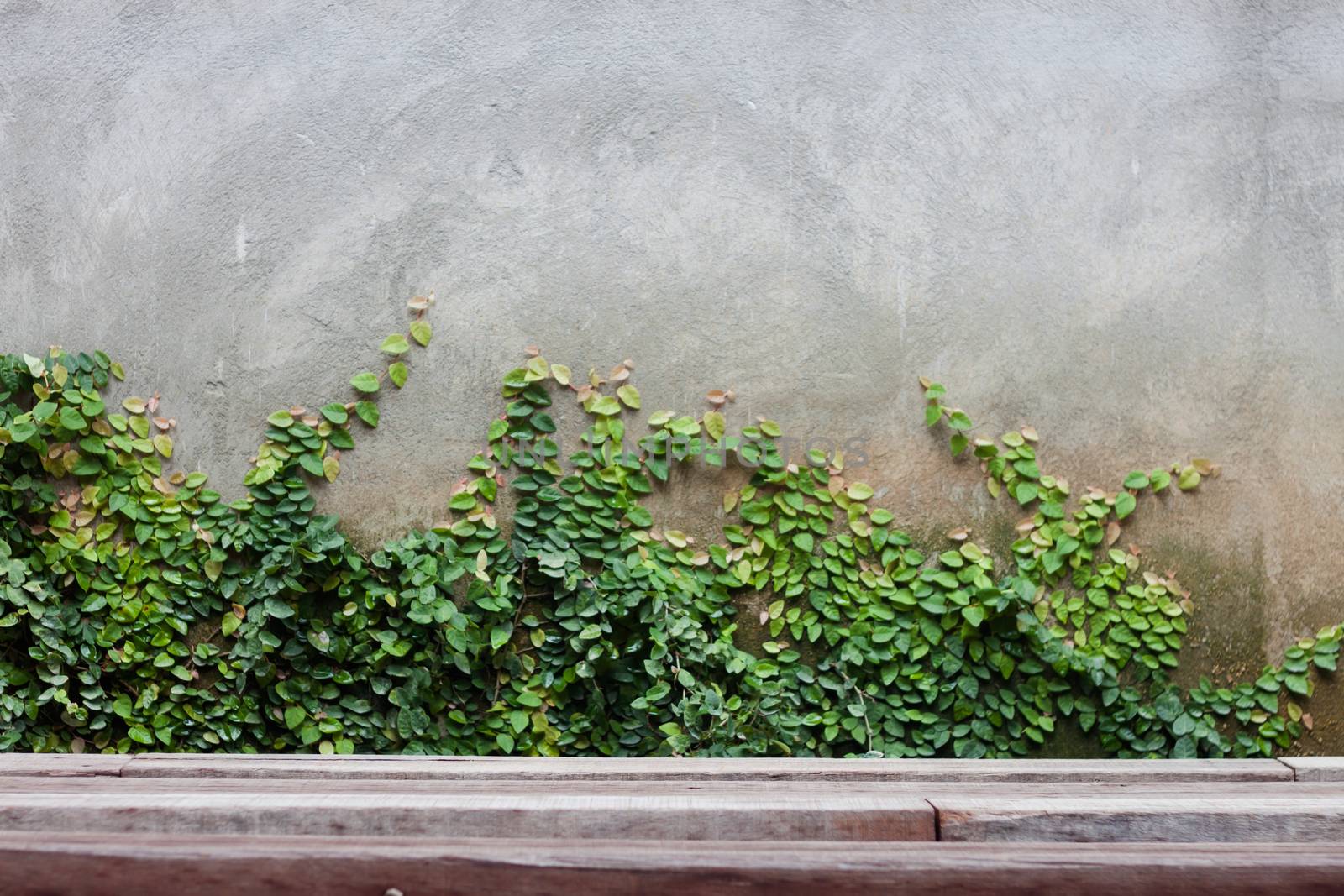 Green leaf on brick wall by punsayaporn