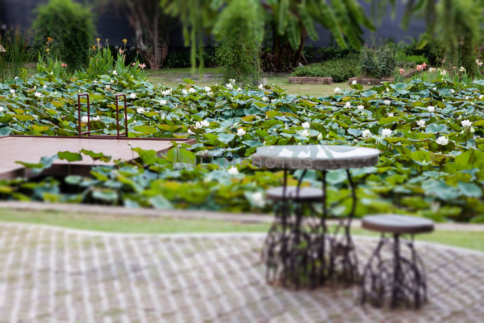 Table and chairs decorated in garden, stock photo