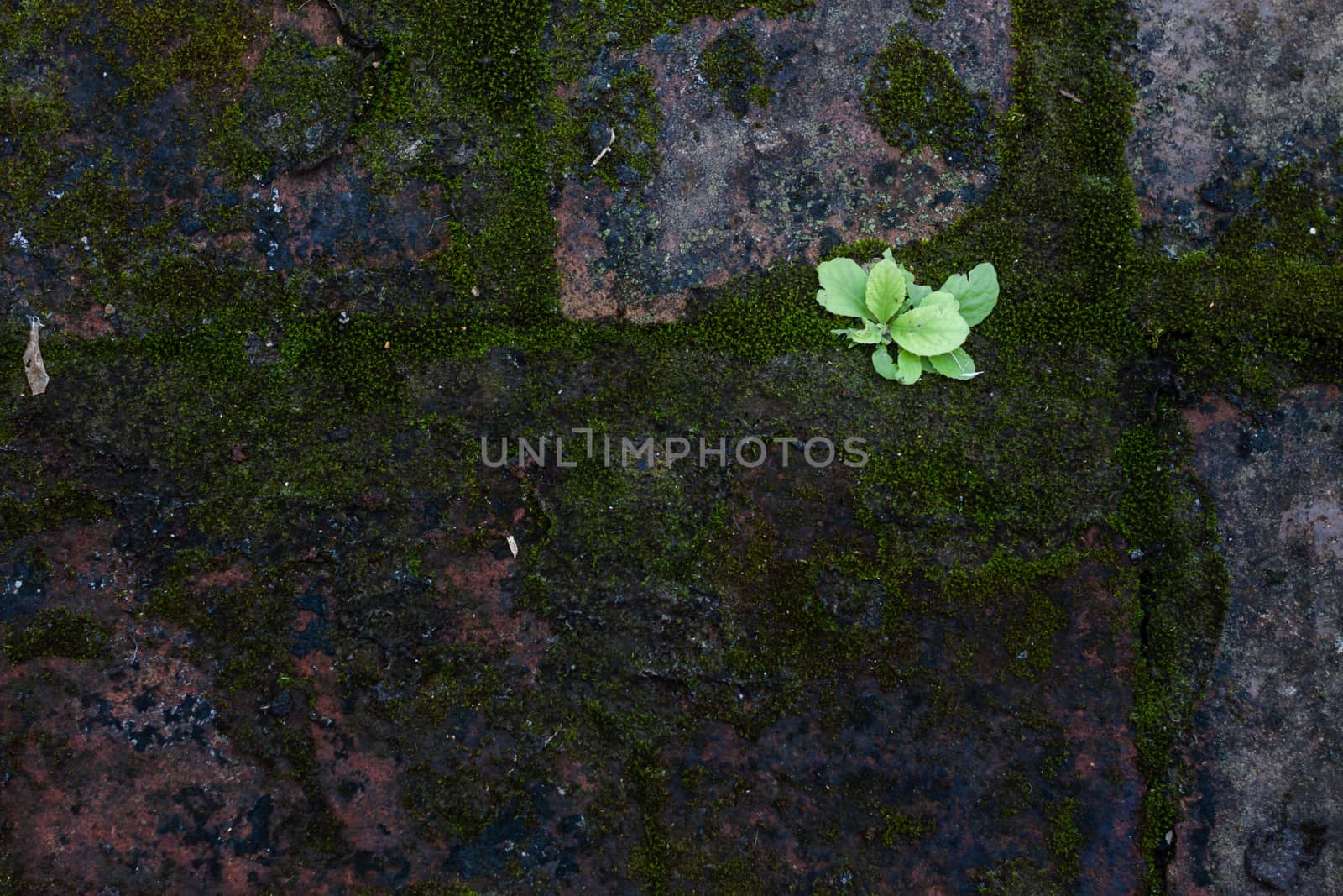 Pebble stones and bricks abstract background, stock photo