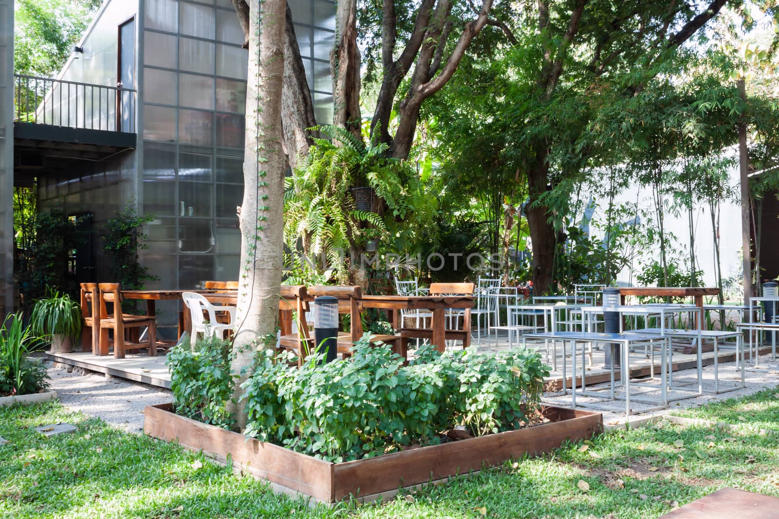 Garden decorated in coffee shop, stock photo