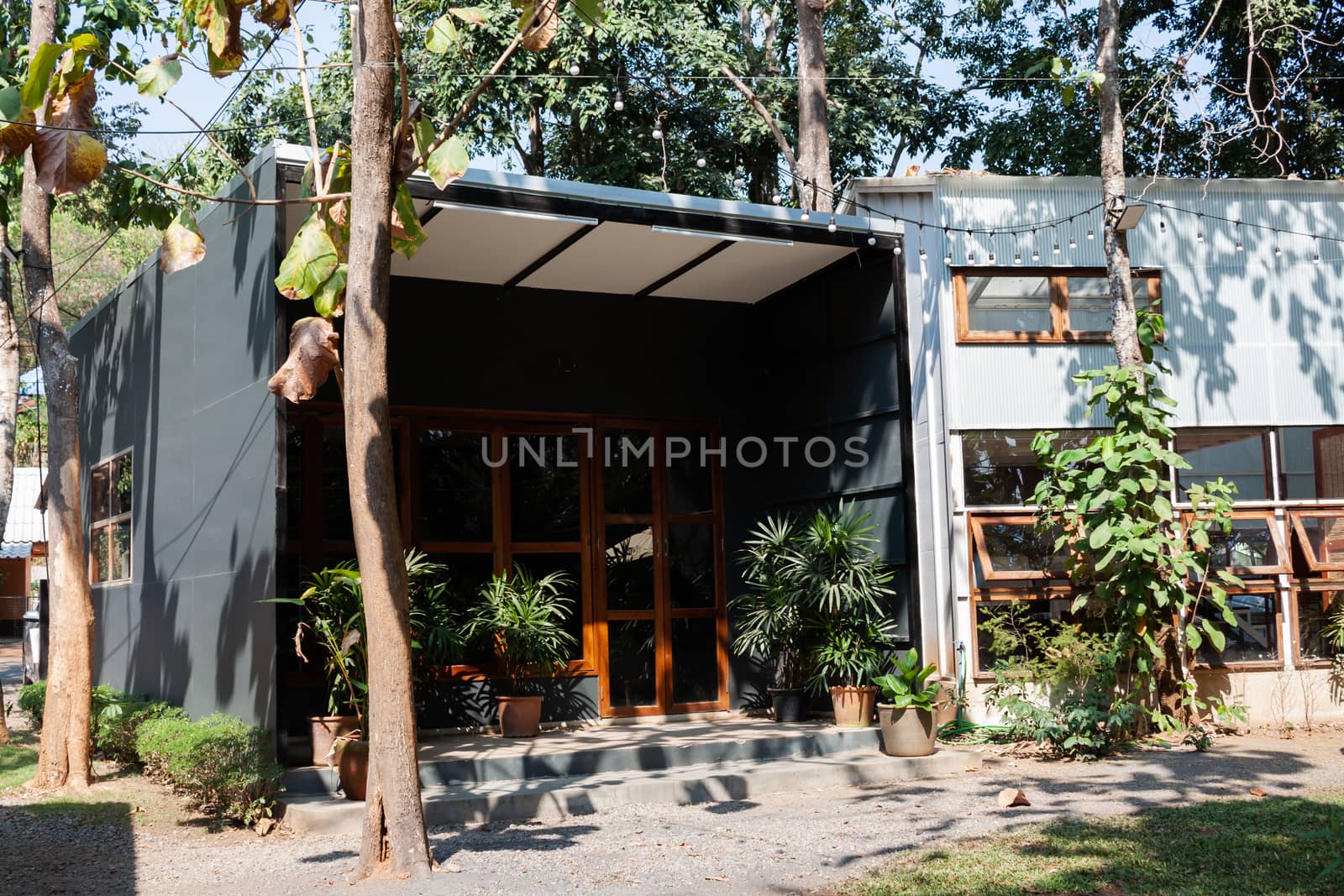 Garden decorated in coffee shop, stock photo