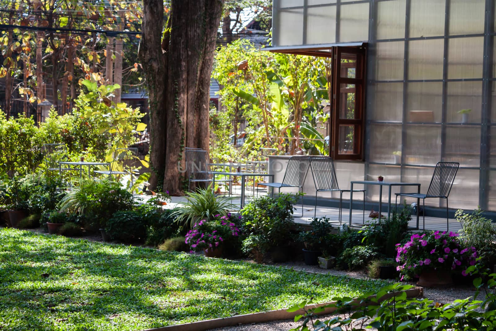 Garden decorated in coffee shop, stock photo