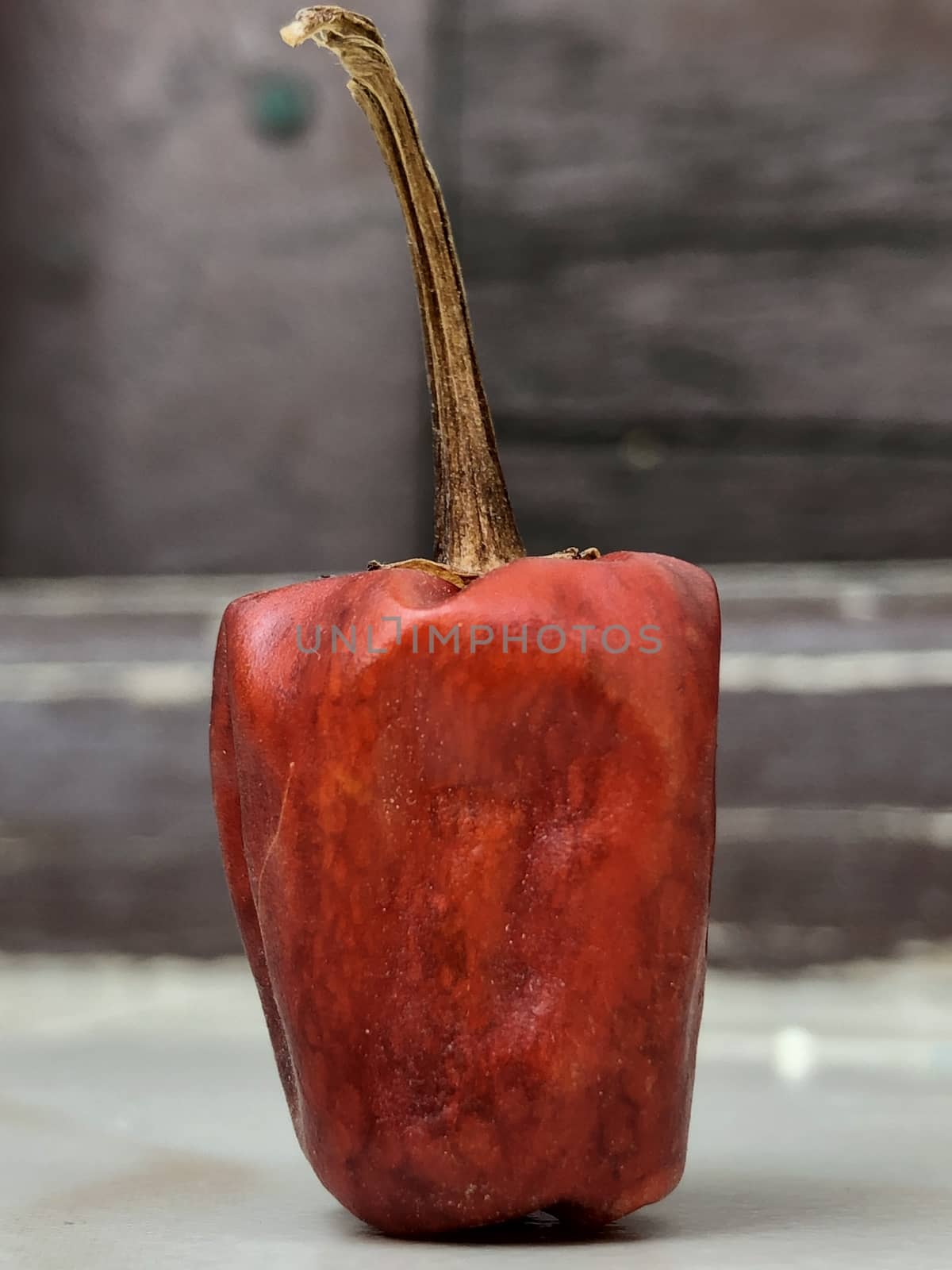 Closeup view of isolated habanero capsicum