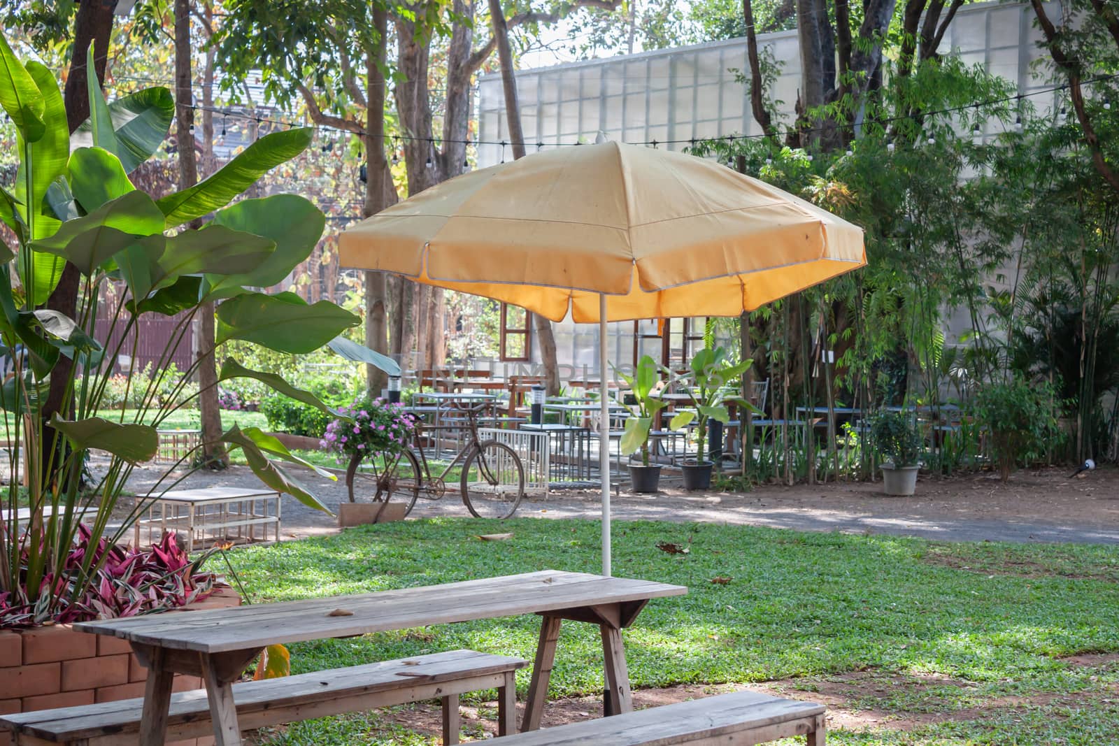 Garden decorated in coffee shop, stock photo