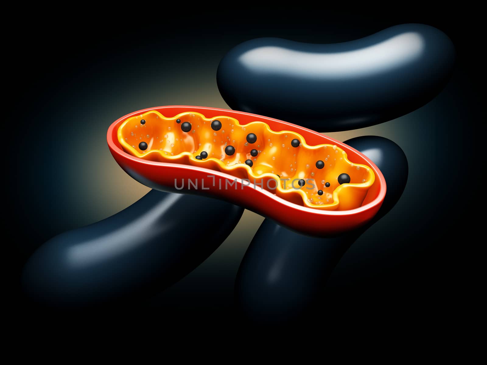 3d Rendering of Mitochondria - realistic illustration on red background by tussik