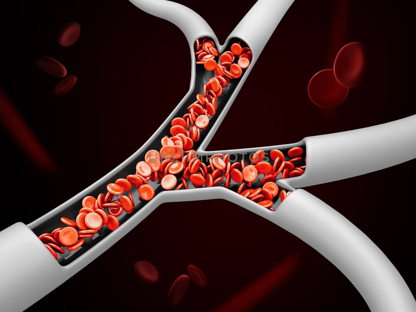 3d Illustration of red blood cells in vein, clipping path included.