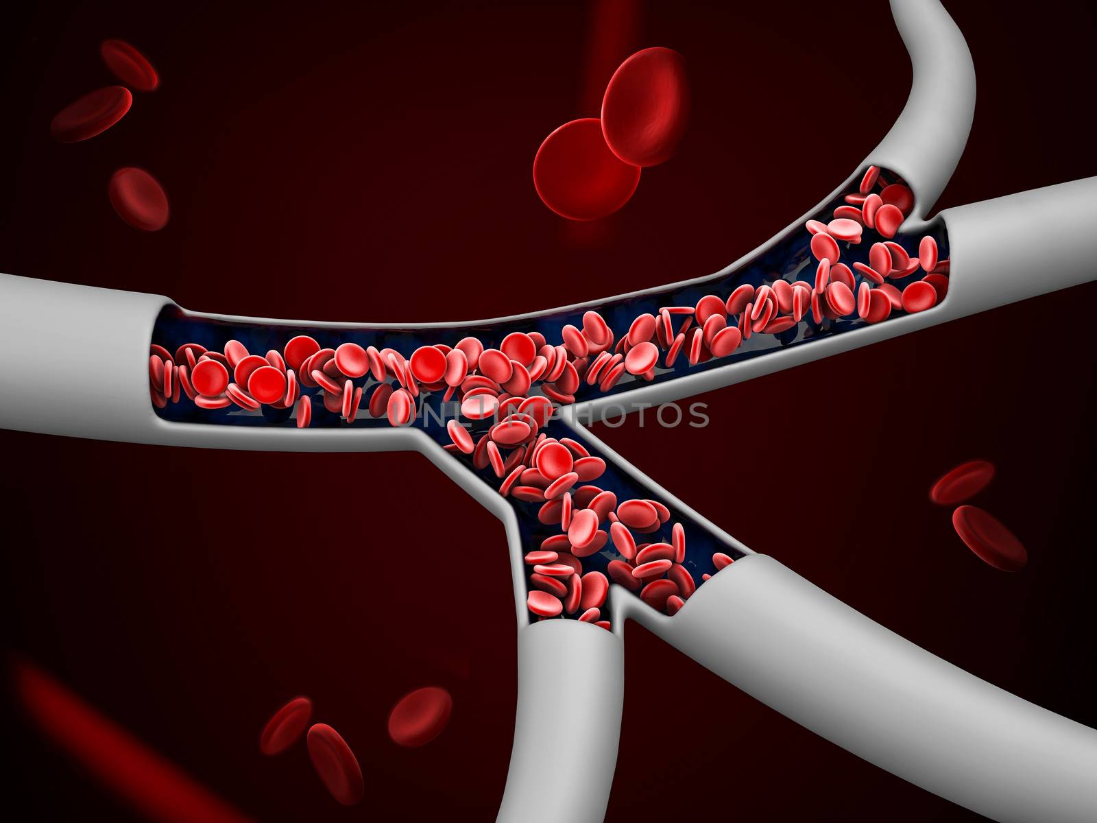 3d Illustration of red blood cells in vein, clipping path included.