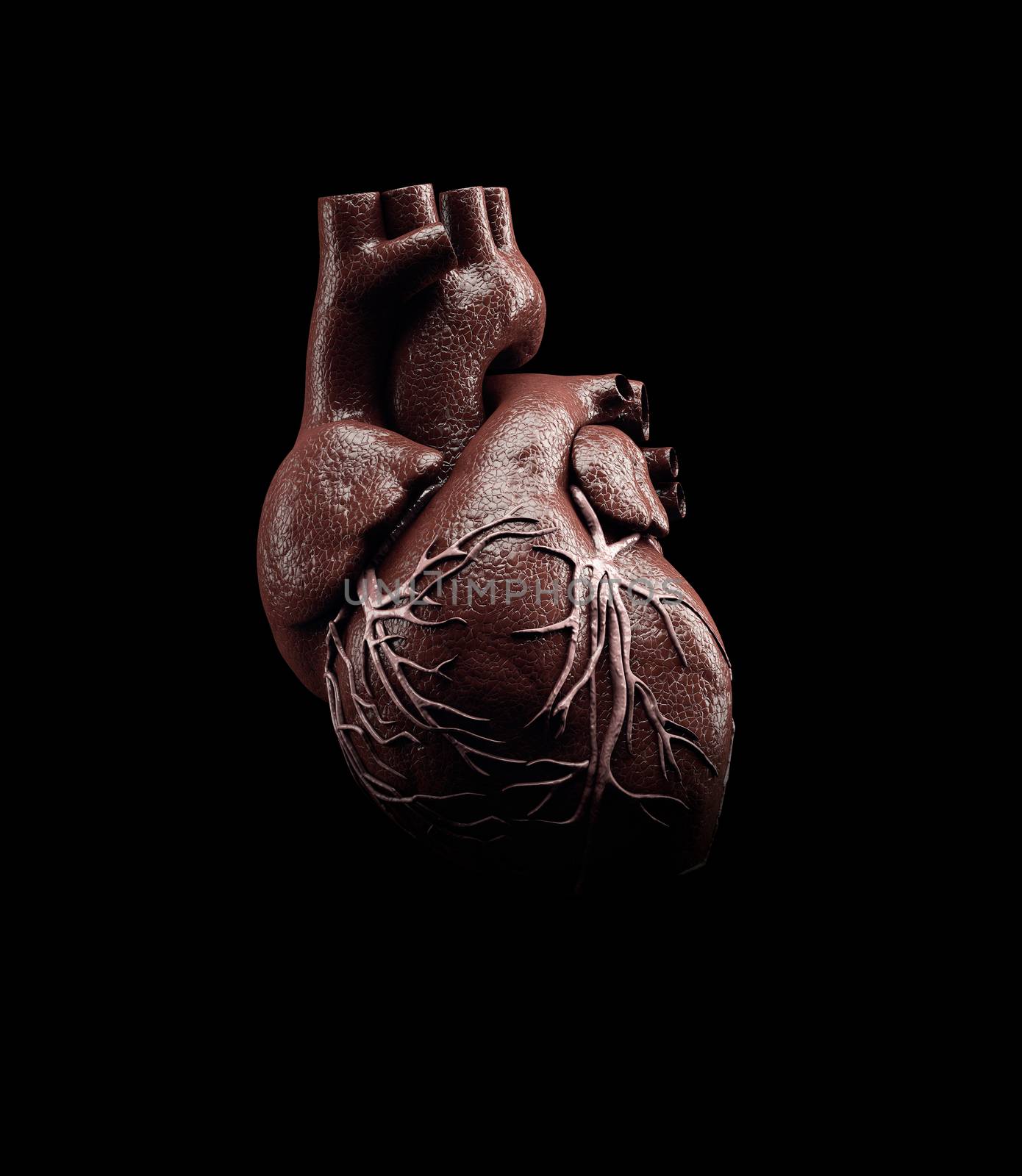 3d Illustration of Anatomy of Human Heart Isolated on black by tussik