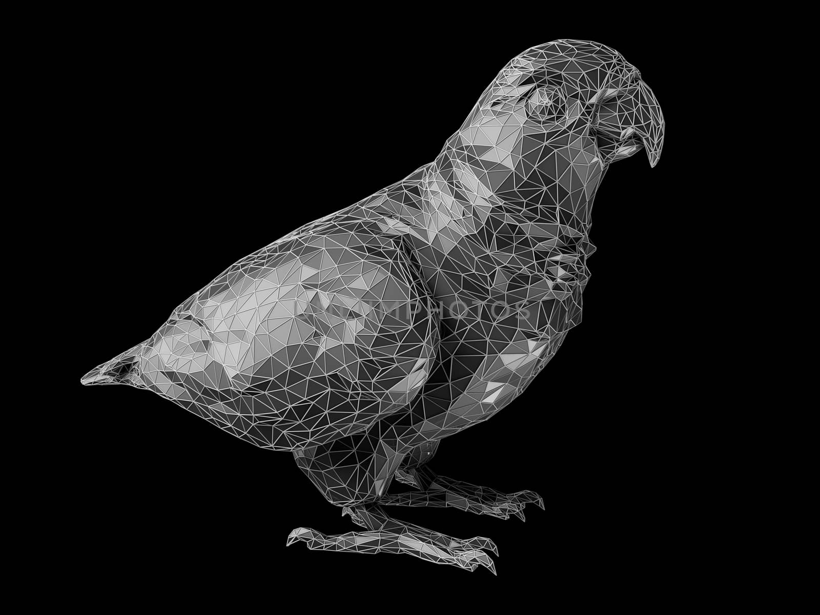 3d Illustration of parrot polygon style.