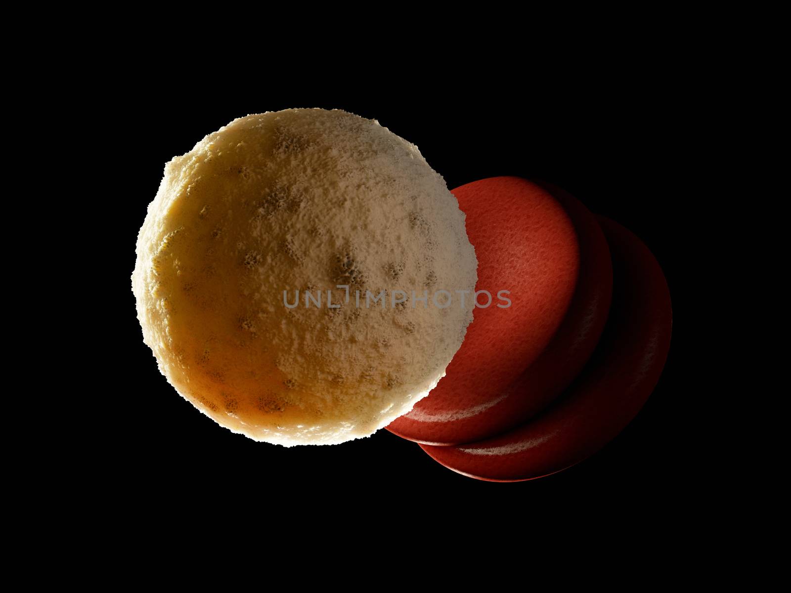 3d rendered illustration of a white blood cell.