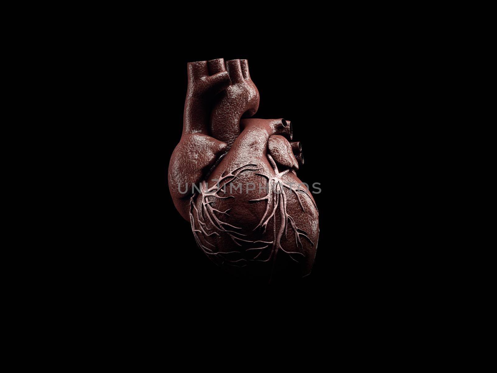 3d Illustration of Anatomy of Human Heart Isolated on black.