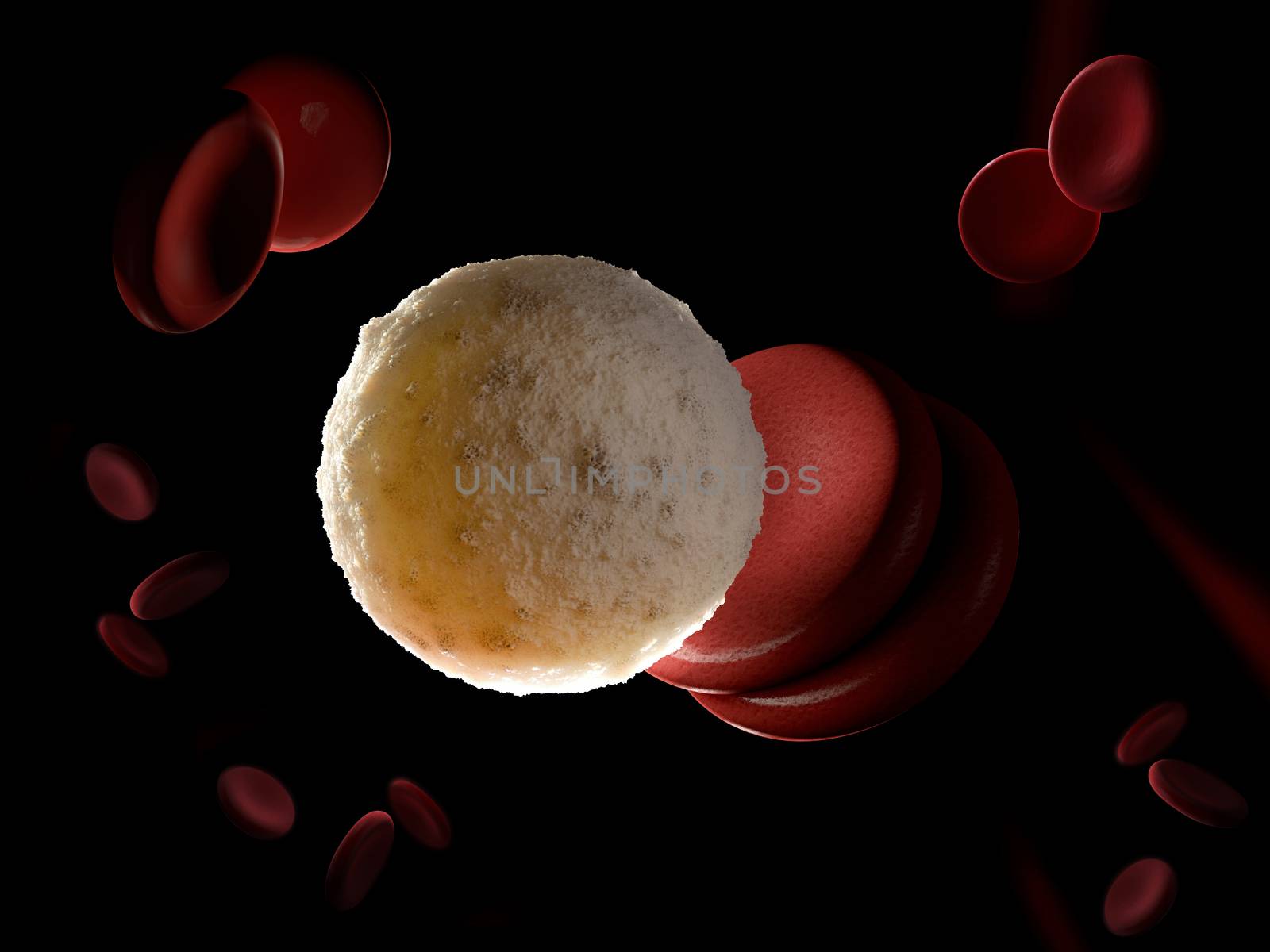 3d rendered illustration of a white blood cell.