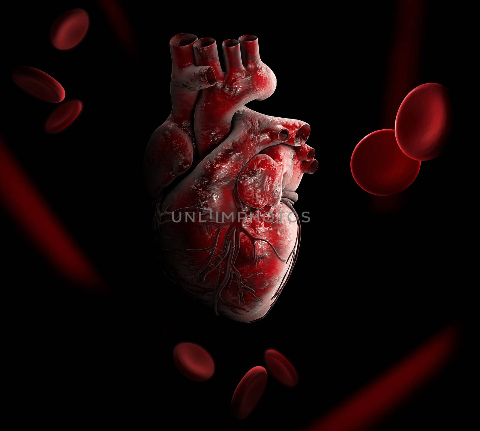 Anatomy of Human Heart 3D illustration - Isolated on black.