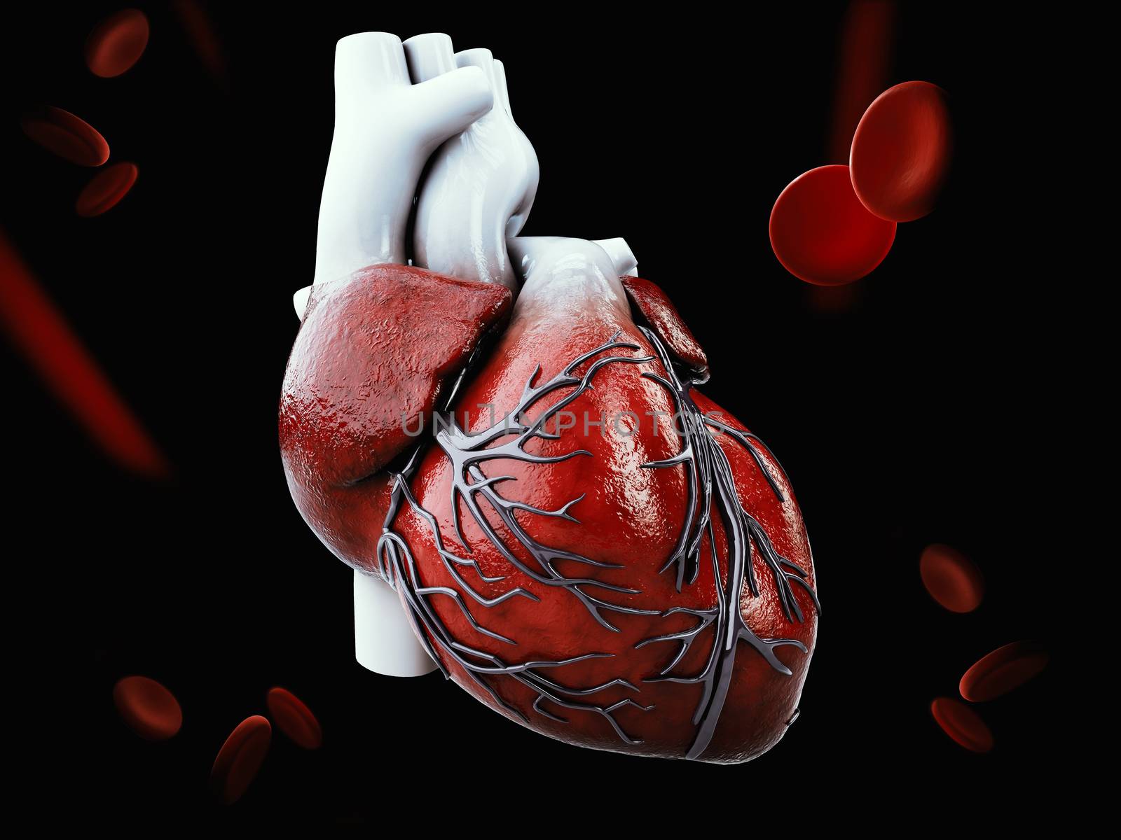 3d Illustration of Anatomy of Human Heart Isolated on black by tussik