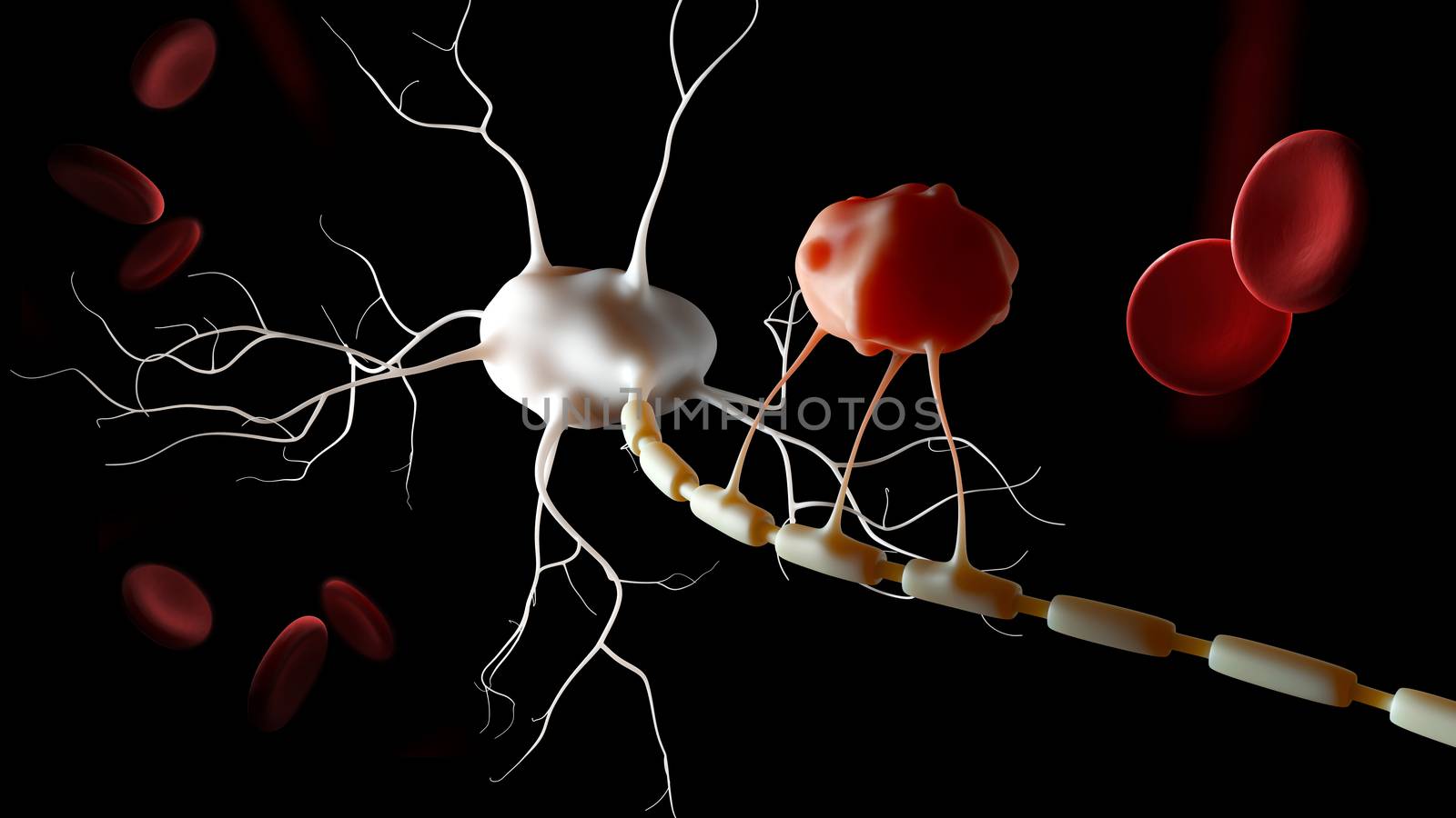 3d Illustration of Neuron anatomy, infographic isolated black by tussik