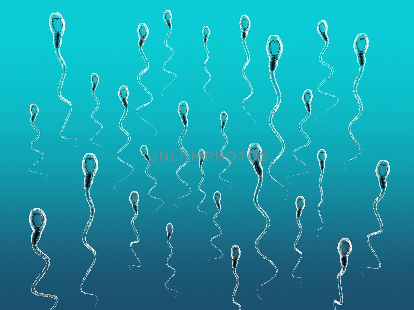 3d illustration of sperm cells moving to the right.