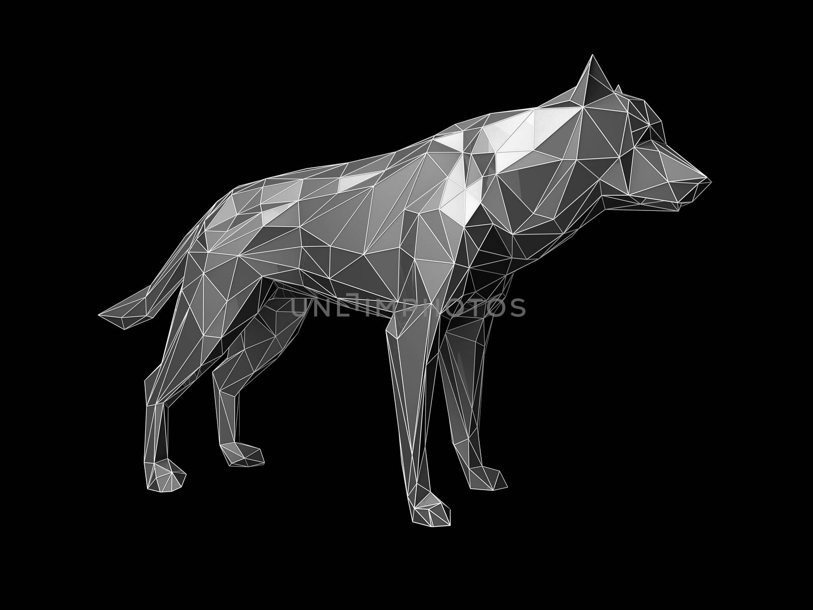 Low poly wolf portrait. Abstract polygonal 3d illustration. by tussik