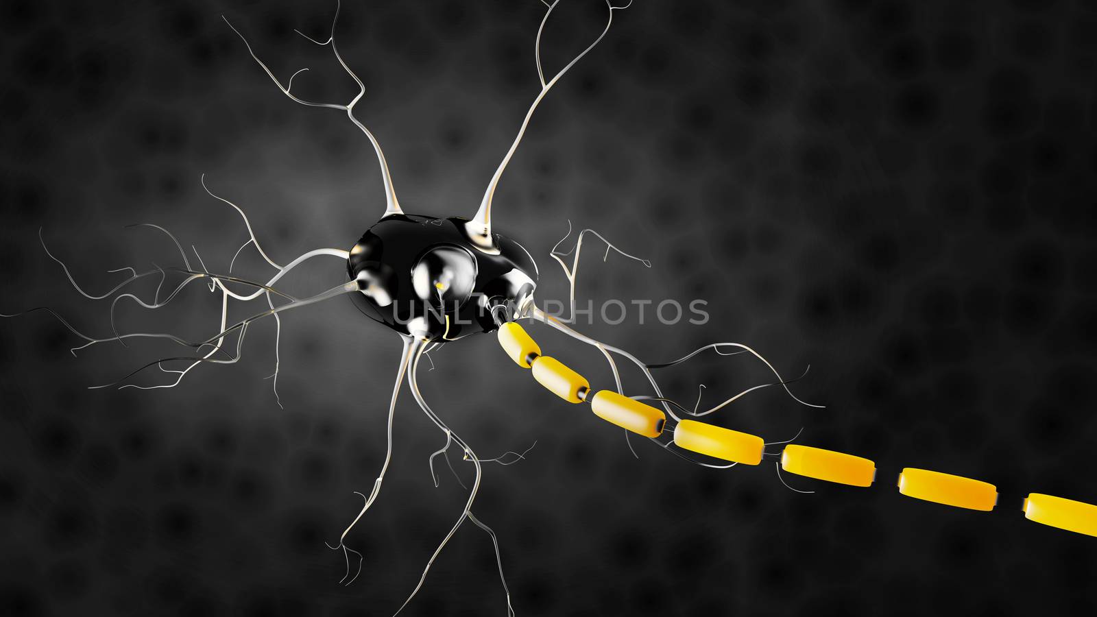 3d Illustration of Neuron anatomy, infographic