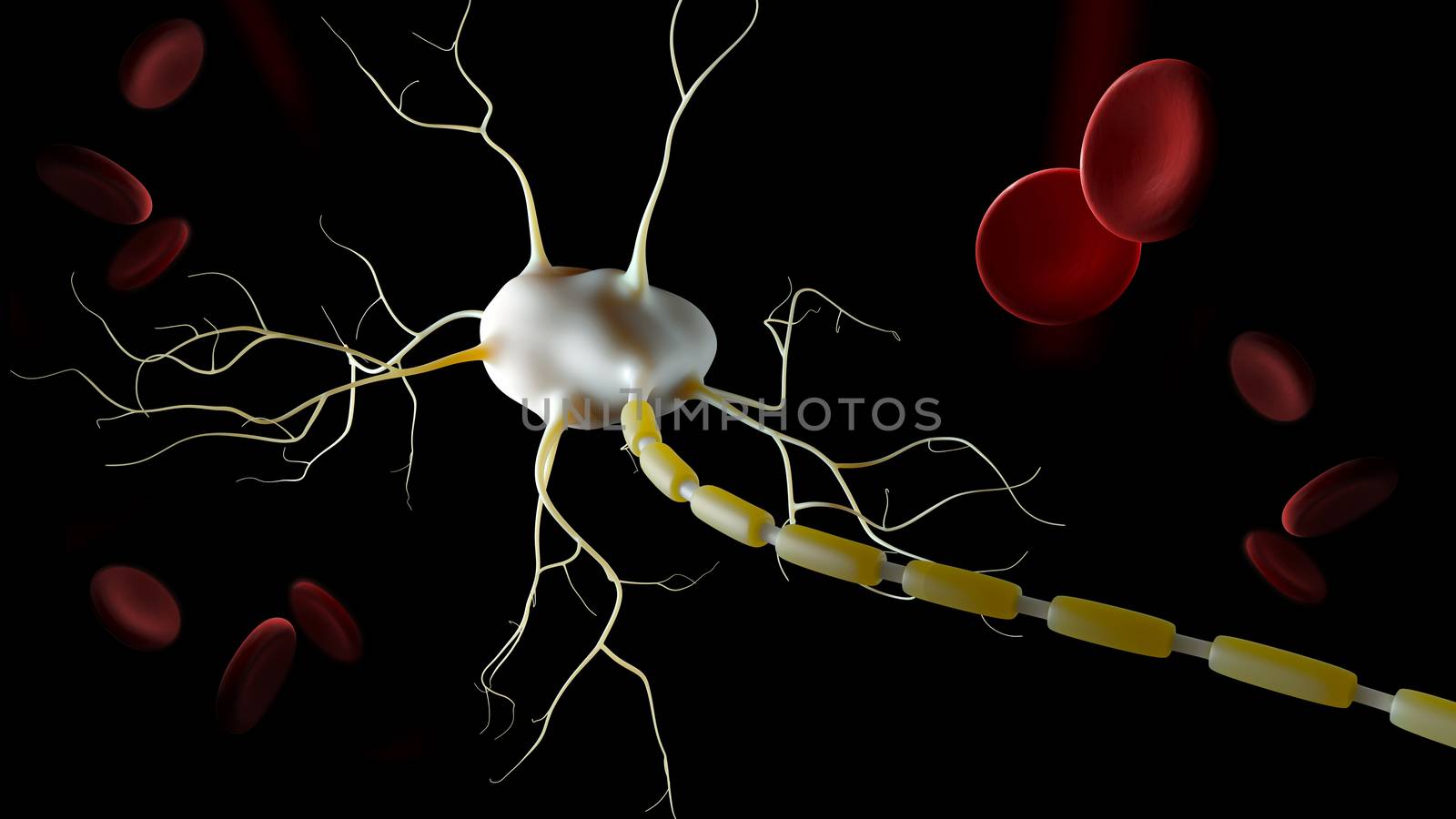 3d Illustration of Neuron anatomy, infographic isolated black.