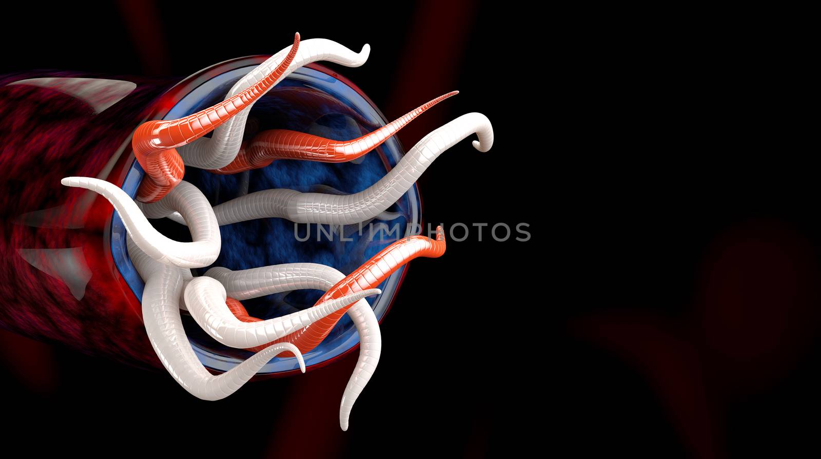 Group of Helminths isolated black background. 3d Illustration