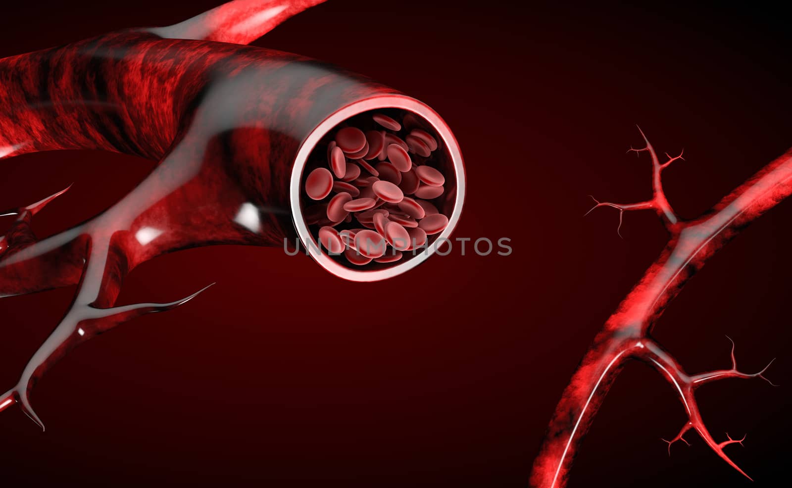 Normal artery red blood flow realistic 3d illustration isolated background.