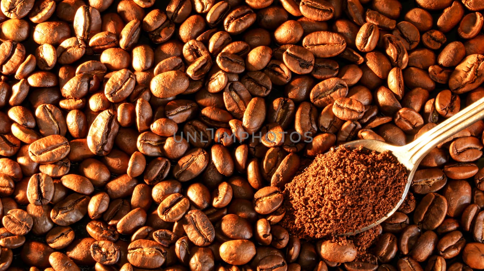 Coffee beans close-up with a spoon of ground coffee.