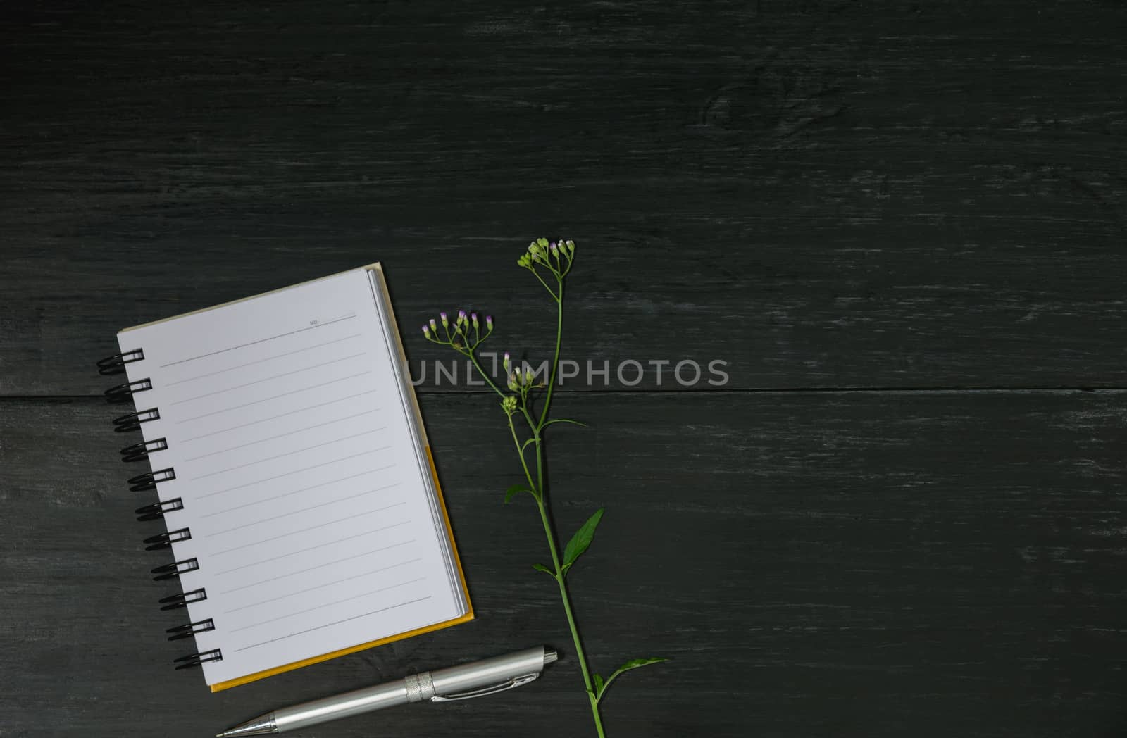 Top view of open book. Book open with pen on wooden background and copy space for insert text.