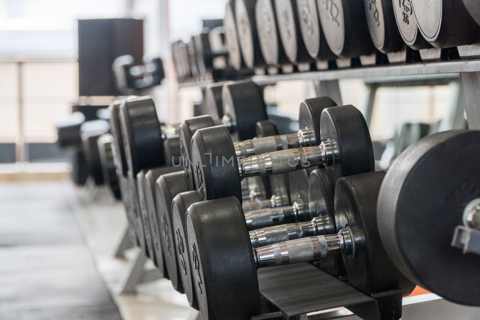 row of dumbbells in a modern gym