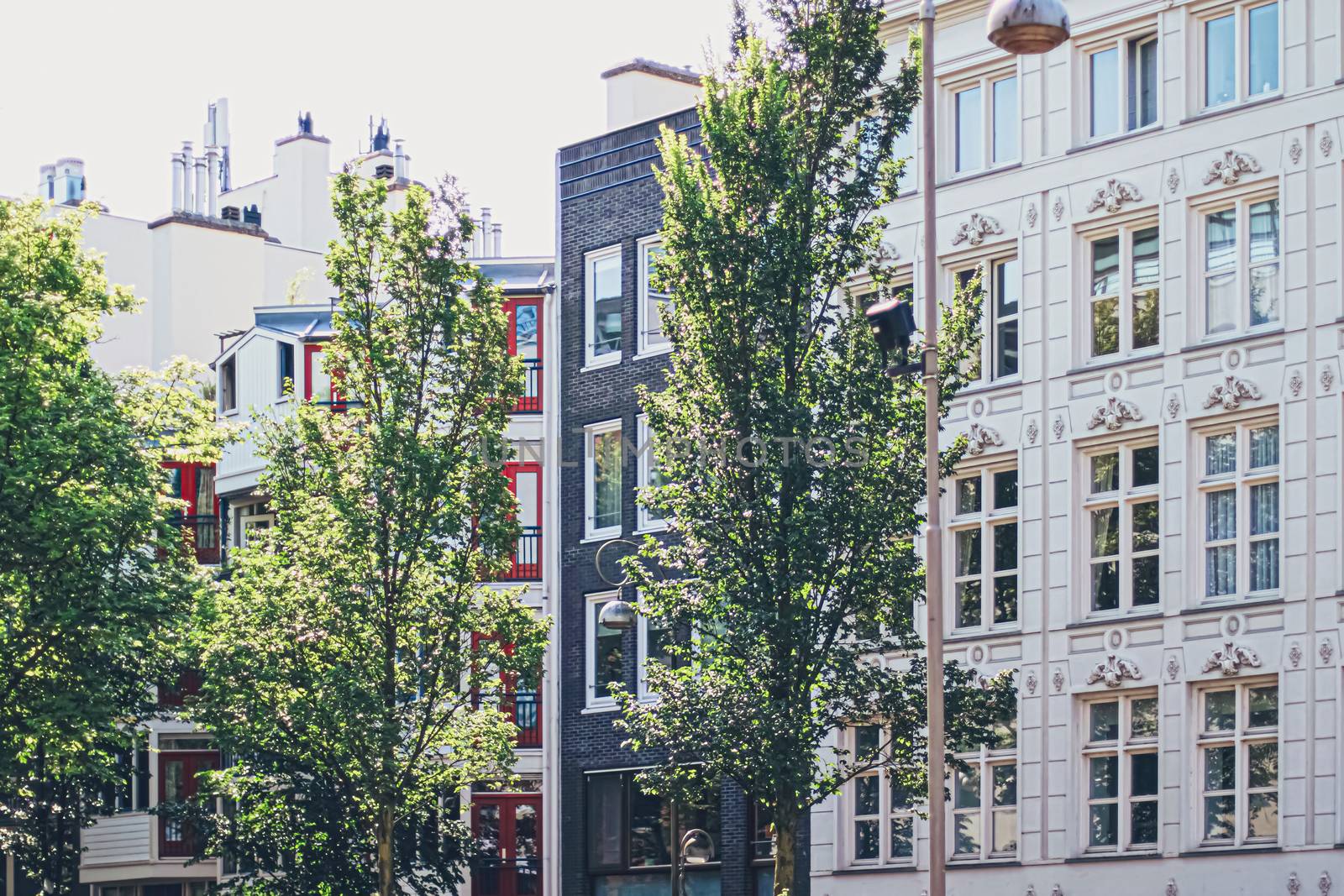 Main downtown street in the city center of Amsterdam in Netherlands on sunny day