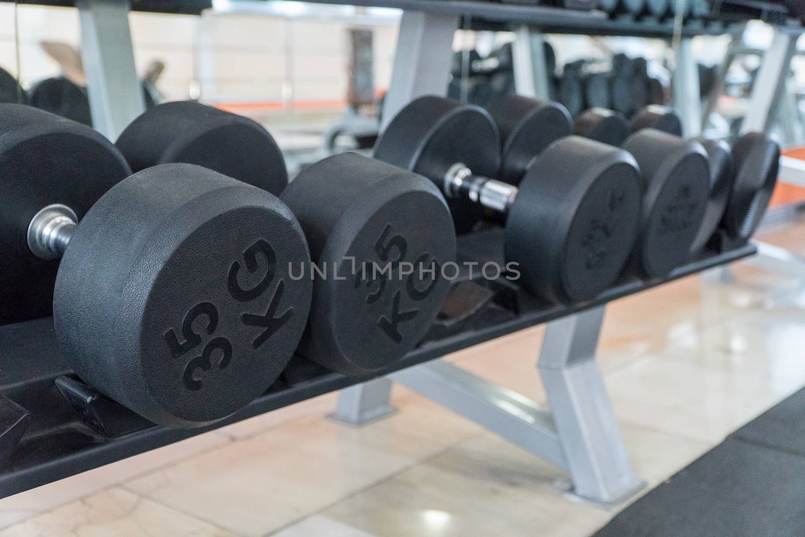 row of dumbbells in a modern gym