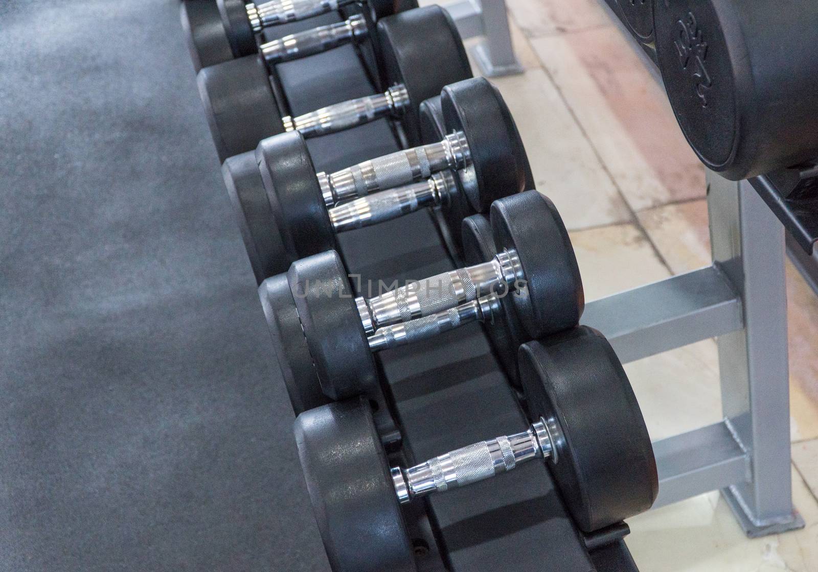 row of dumbbells in a modern gym
