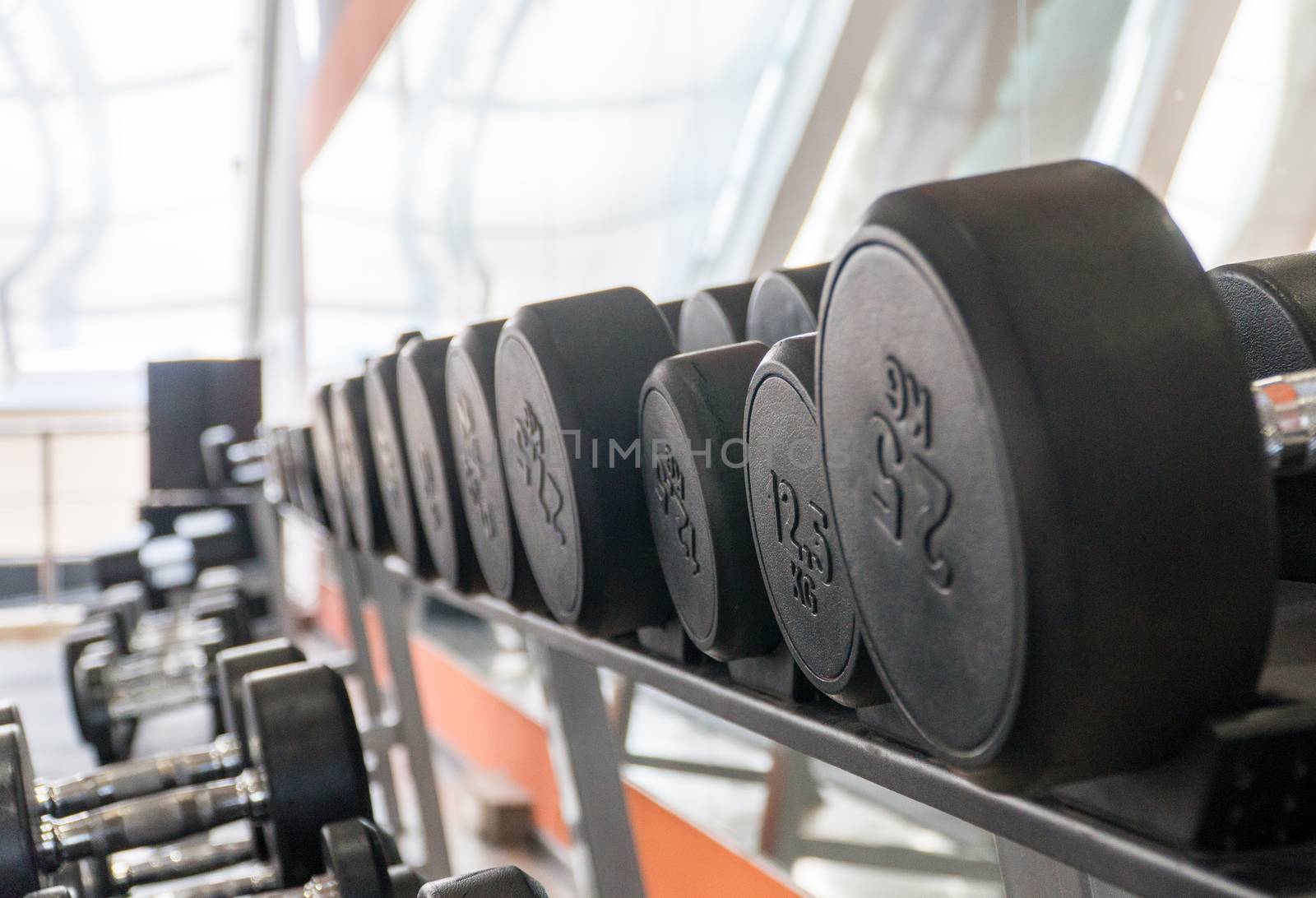 row of dumbbells in a modern gym