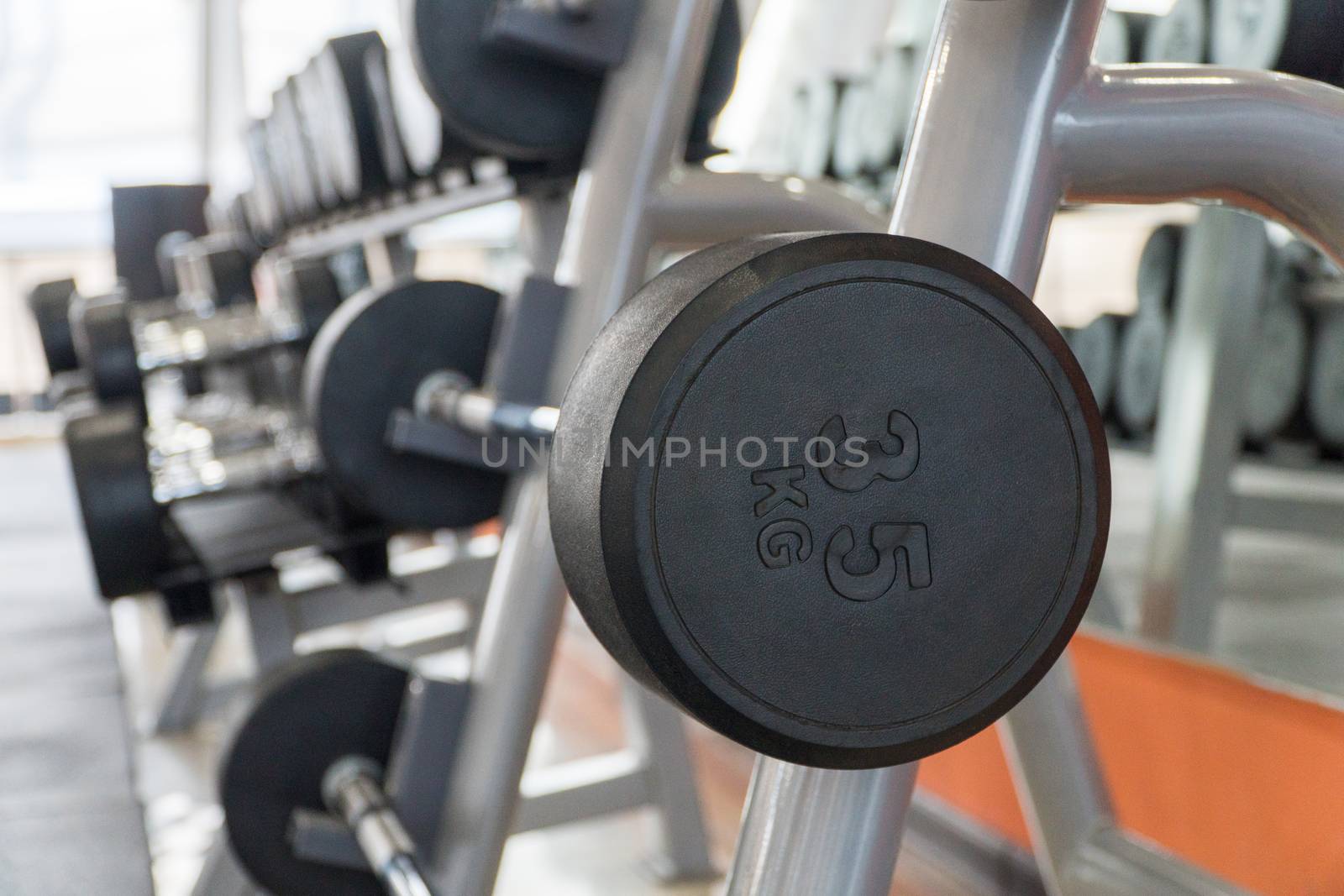 row of dumbbells in a modern gym
