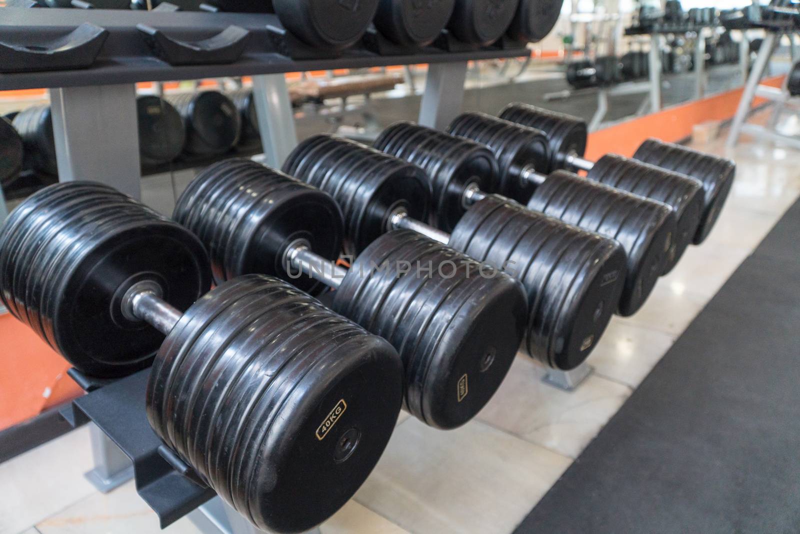 row of dumbbells in a modern gym