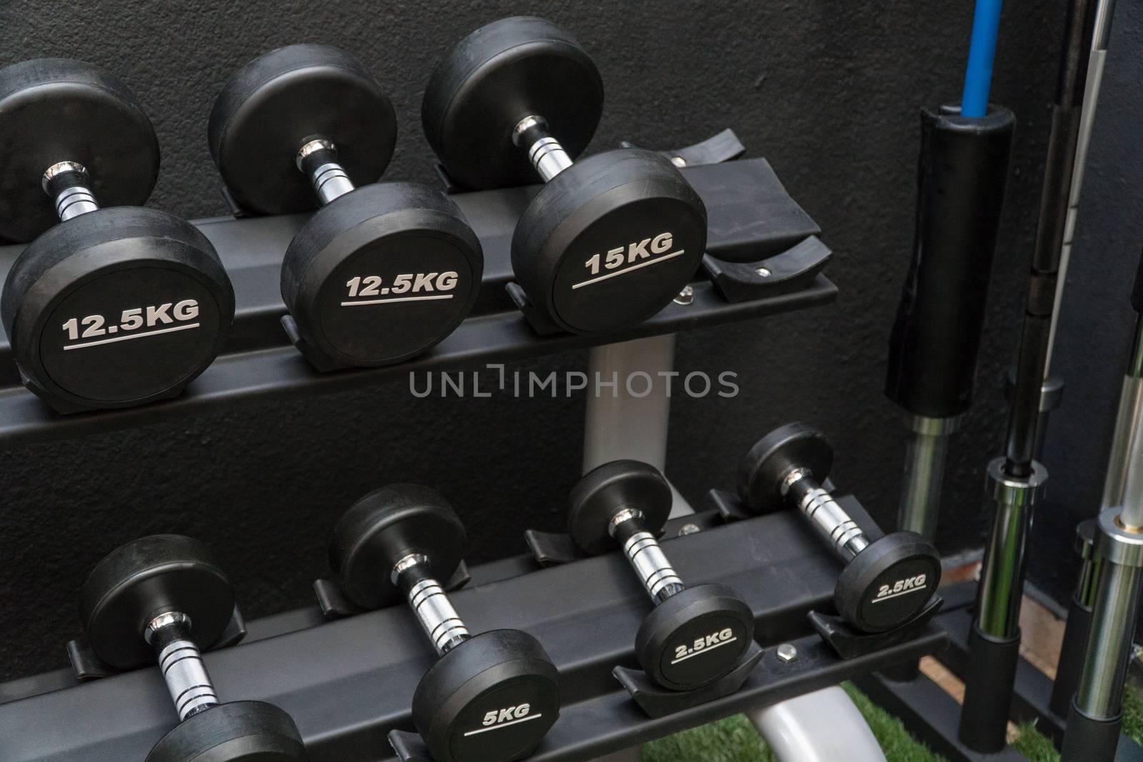 row of dumbbells in a modern gym