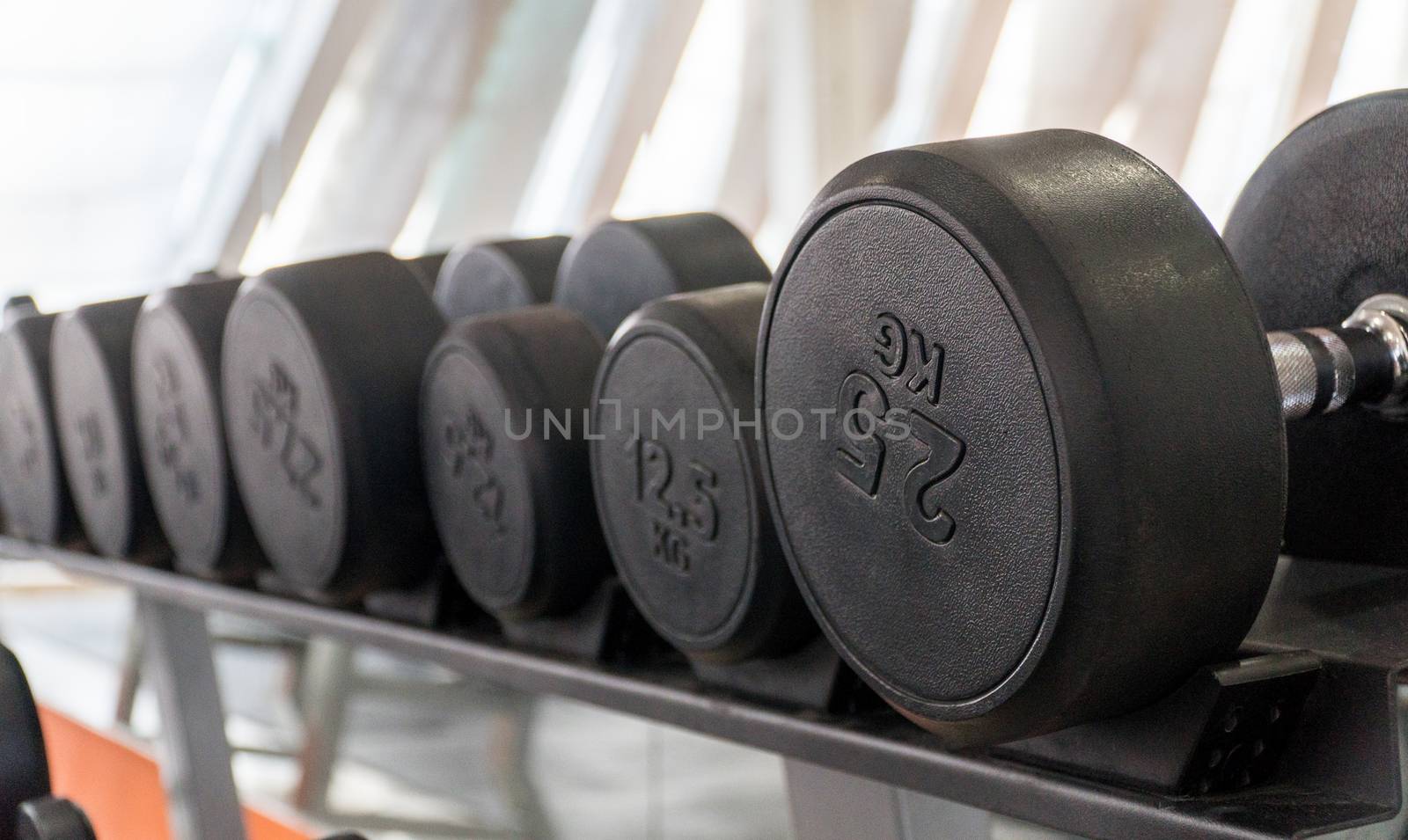 row of dumbbells in a modern gym
