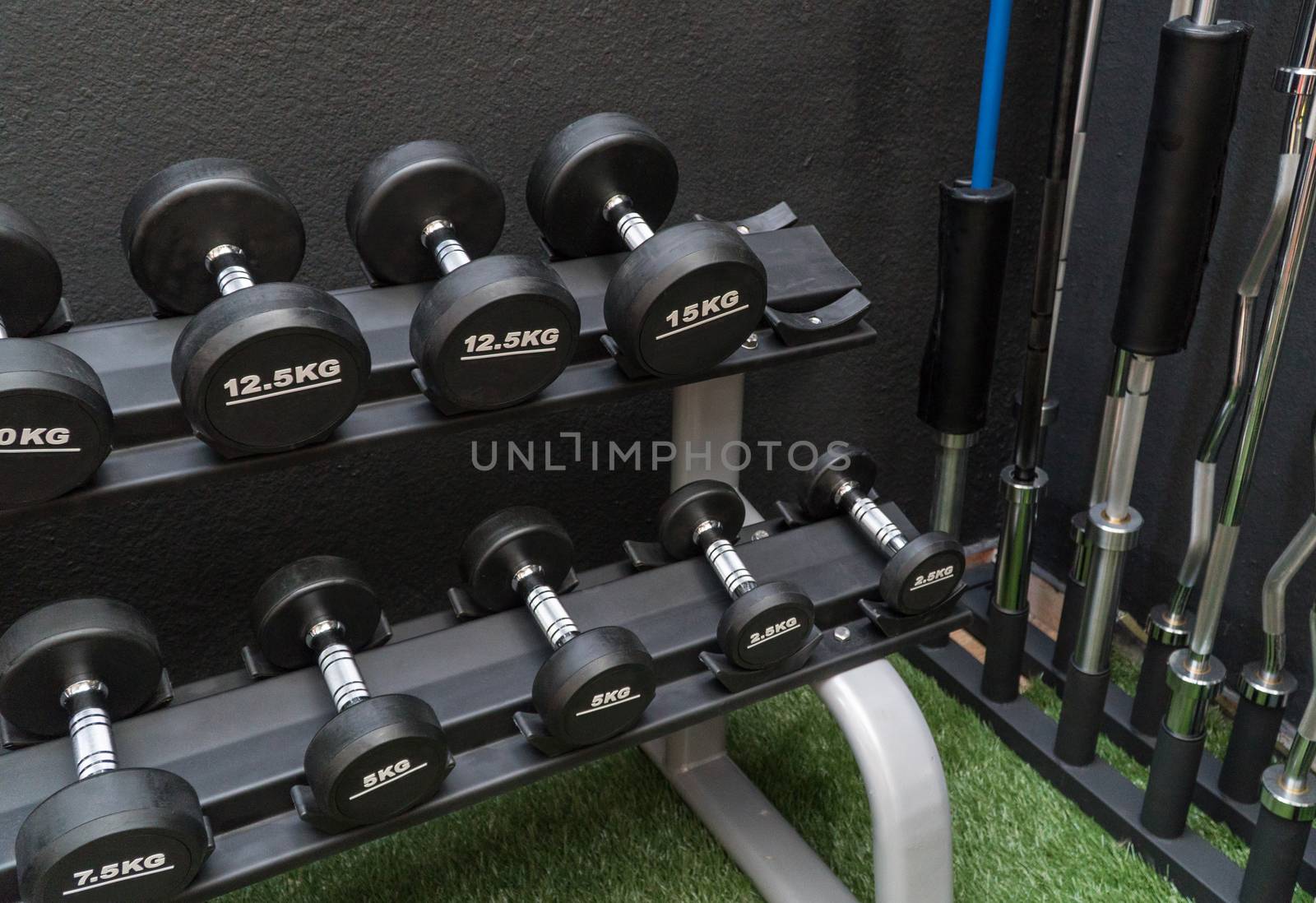row of dumbbells in a modern gym
